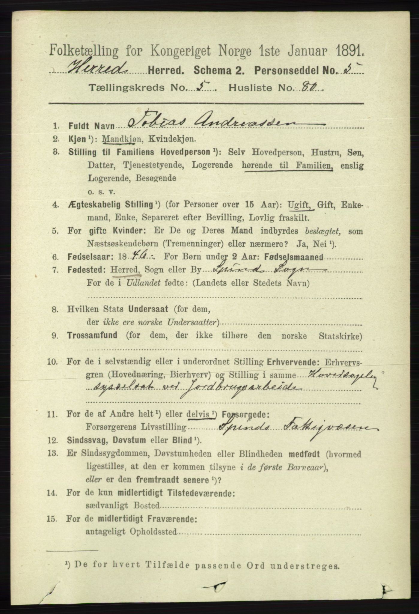 RA, 1891 census for 1039 Herad, 1891, p. 2228