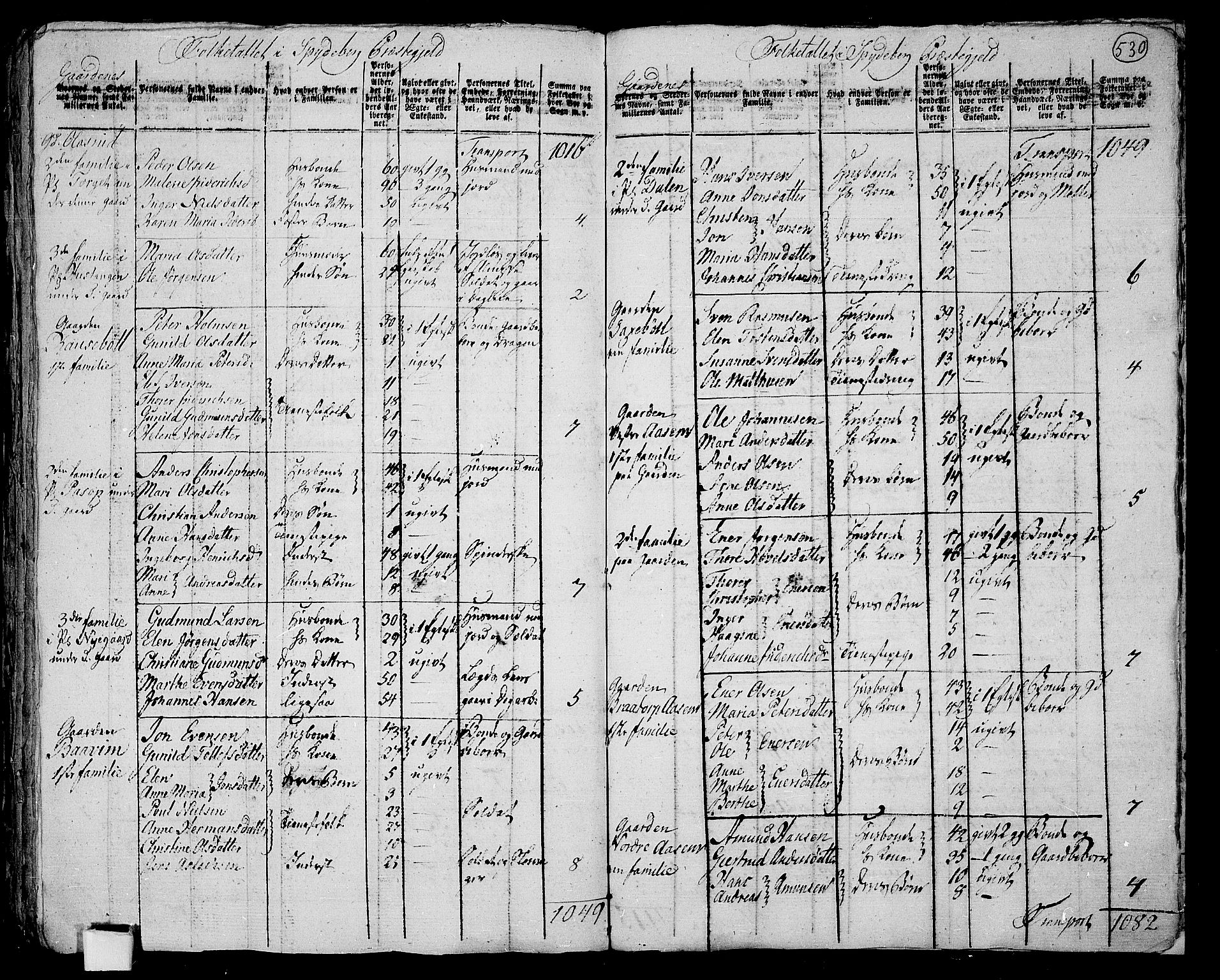 RA, 1801 census for 0123P Spydeberg, 1801, p. 529b-530a