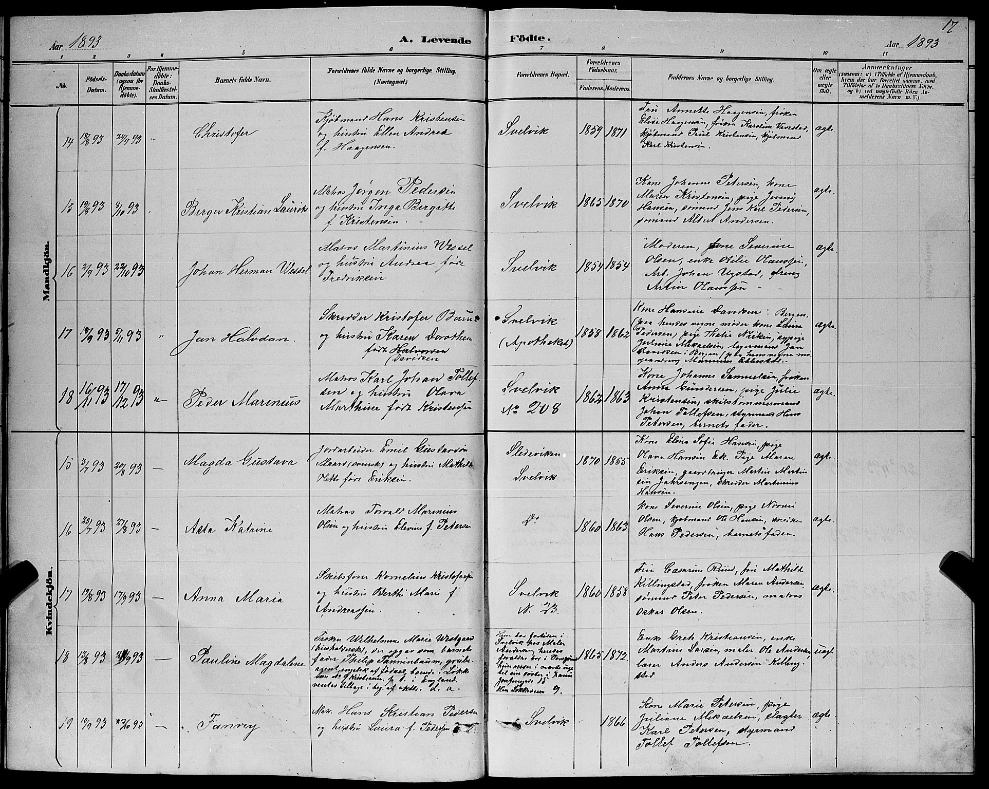 Strømm kirkebøker, AV/SAKO-A-322/G/Gb/L0001: Parish register (copy) no. II 1, 1889-1896, p. 17