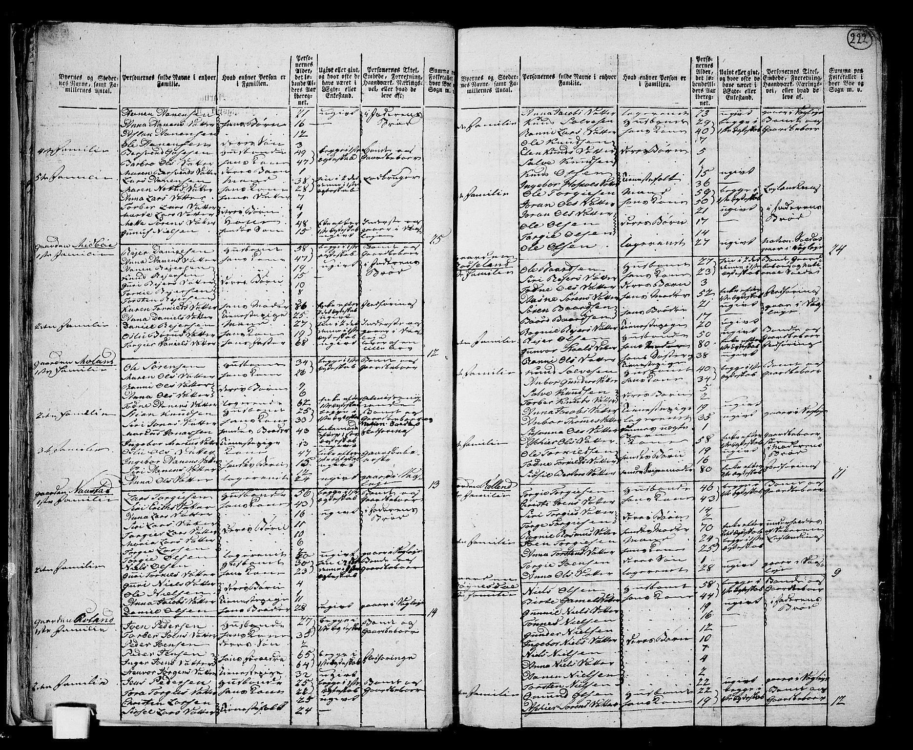 RA, 1801 census for 1024P Bjelland, 1801, p. 221b-222a