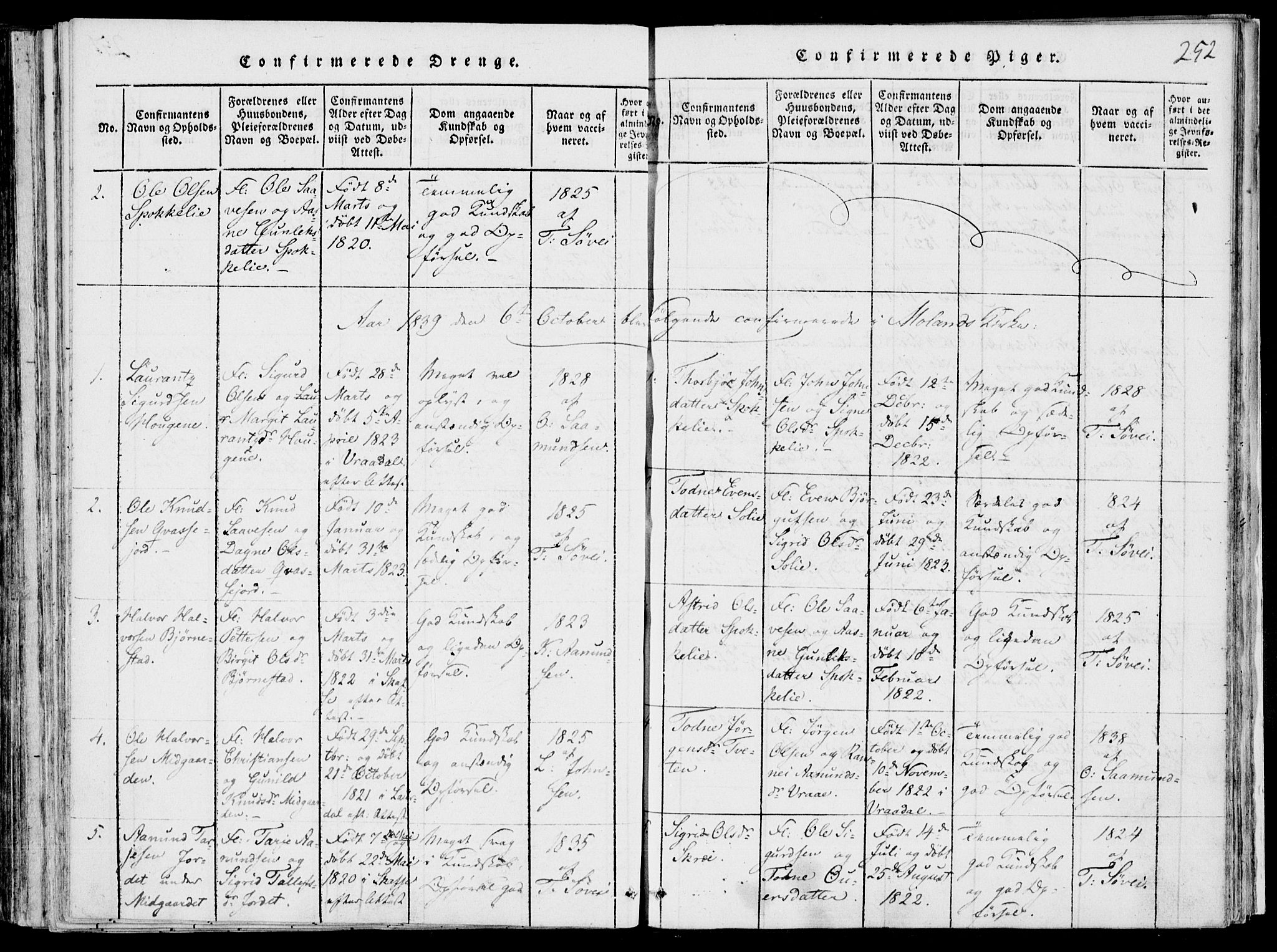Fyresdal kirkebøker, SAKO/A-263/F/Fb/L0001: Parish register (official) no. II 1, 1815-1854, p. 252