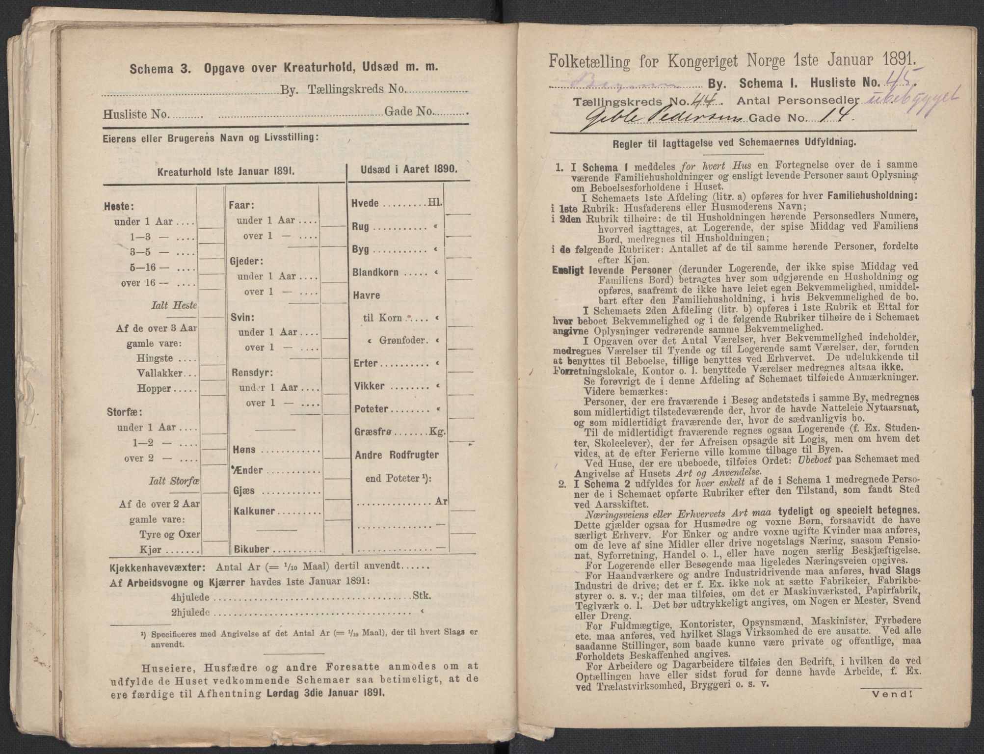 RA, 1891 Census for 1301 Bergen, 1891, p. 7421