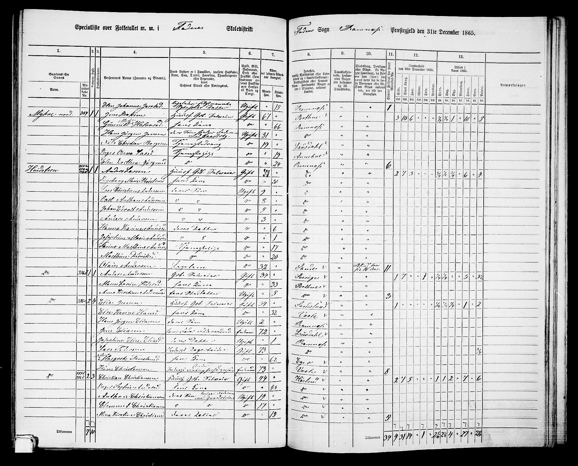 RA, 1865 census for Ramnes, 1865, p. 104