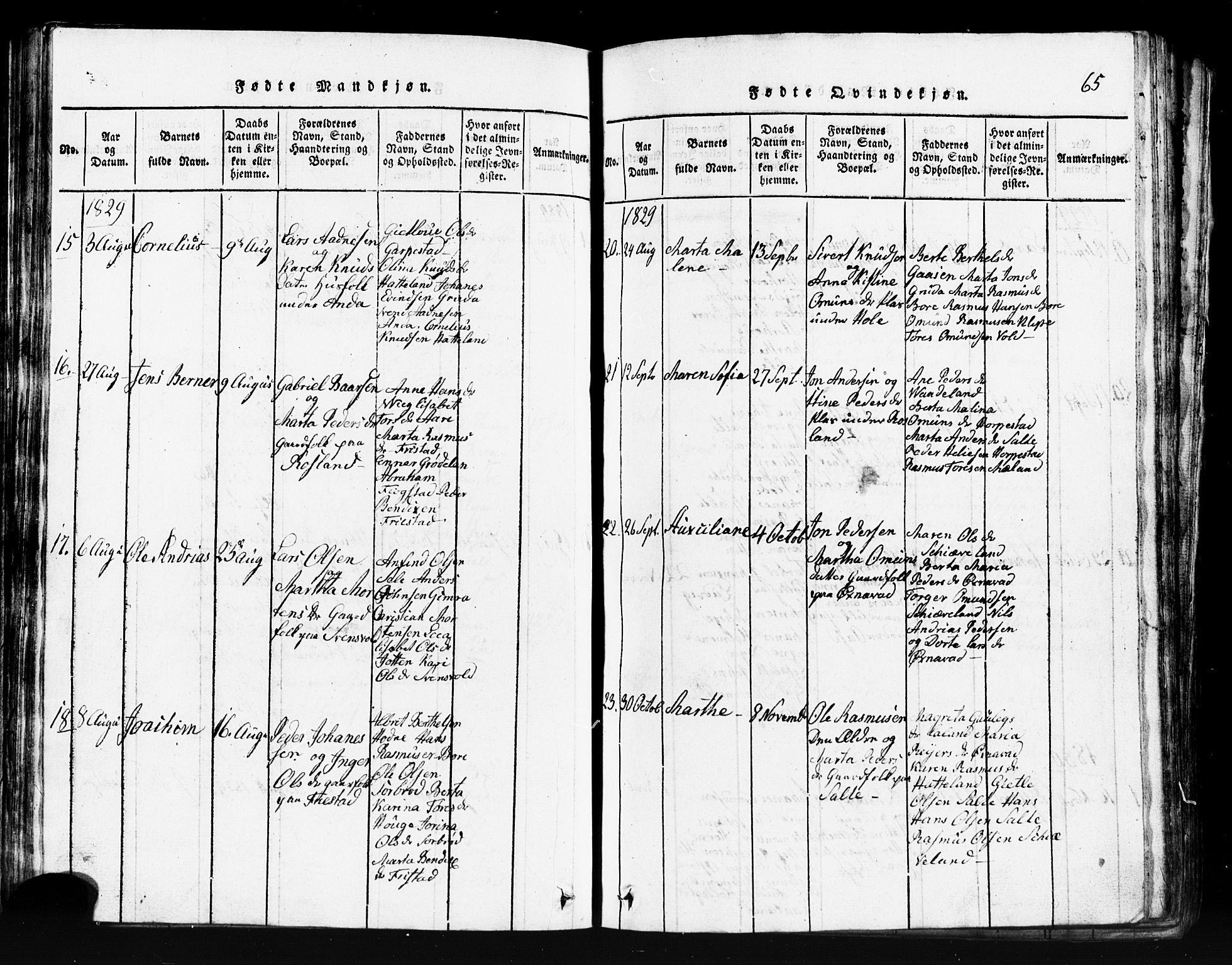 Klepp sokneprestkontor, SAST/A-101803/001/3/30BB/L0001: Parish register (copy) no.  B 1, 1816-1859, p. 65