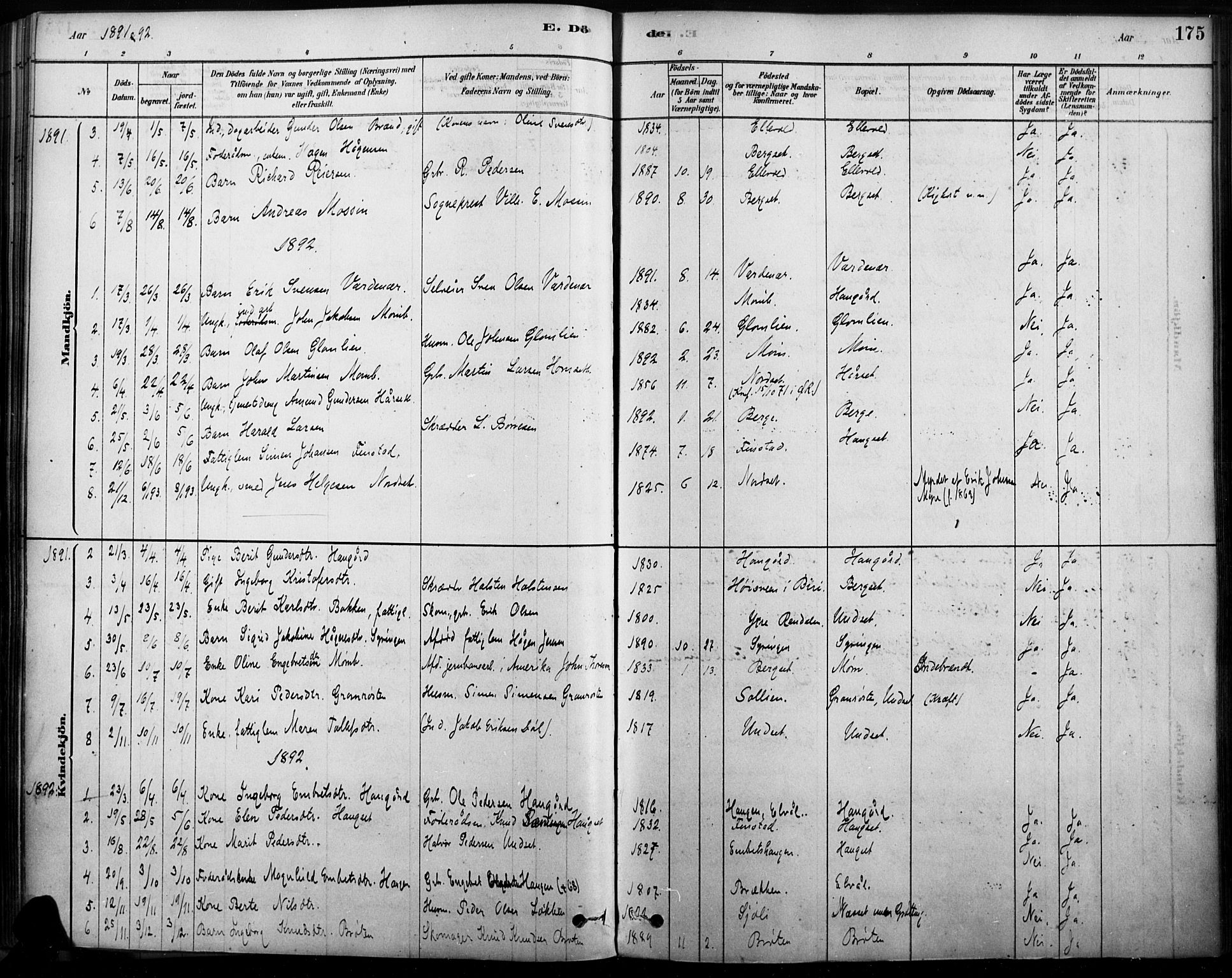 Rendalen prestekontor, SAH/PREST-054/H/Ha/Haa/L0009: Parish register (official) no. 9, 1878-1901, p. 175