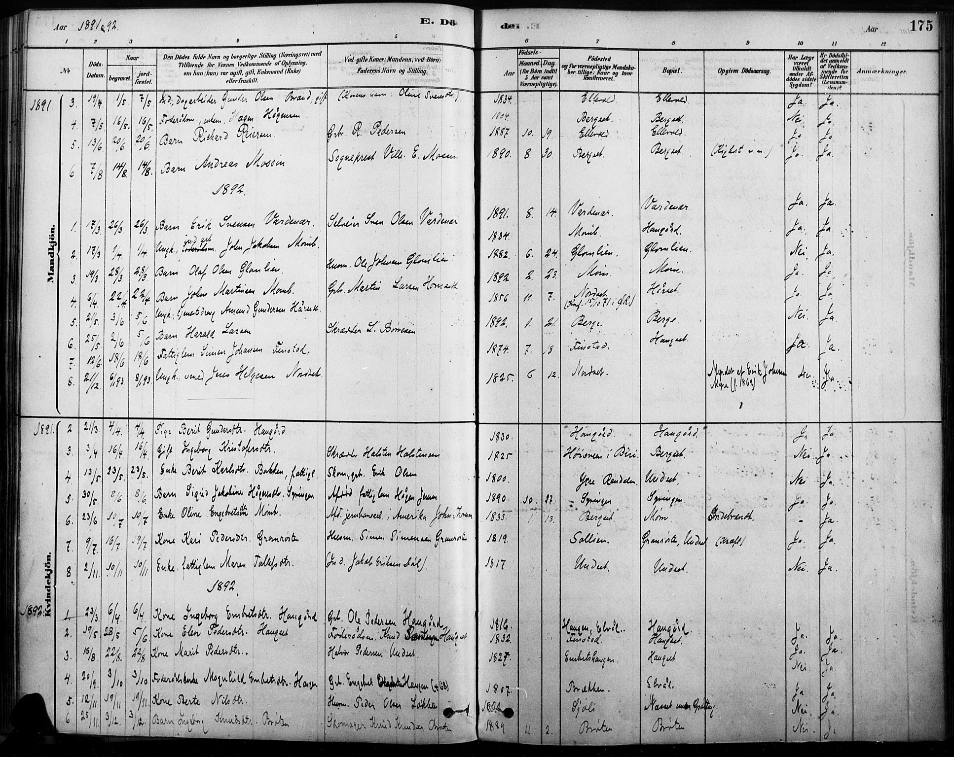 Rendalen prestekontor, AV/SAH-PREST-054/H/Ha/Haa/L0009: Parish register (official) no. 9, 1878-1901, p. 175