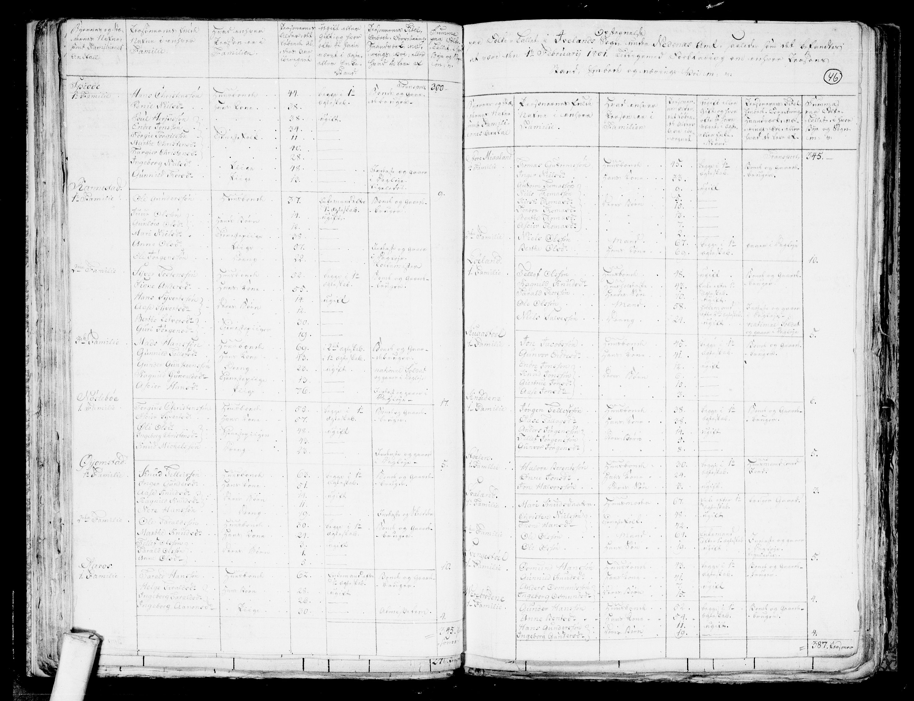RA, 1801 census for 0934P Evje, 1801, p. 45b-46a