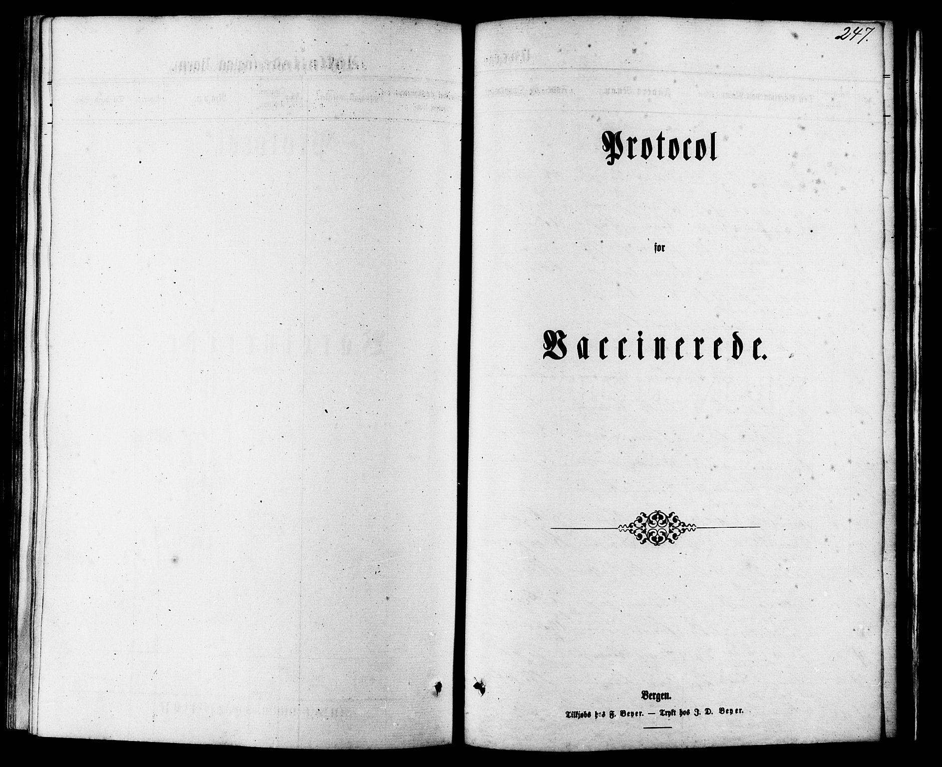 Ministerialprotokoller, klokkerbøker og fødselsregistre - Møre og Romsdal, SAT/A-1454/504/L0055: Parish register (official) no. 504A02, 1861-1884, p. 247
