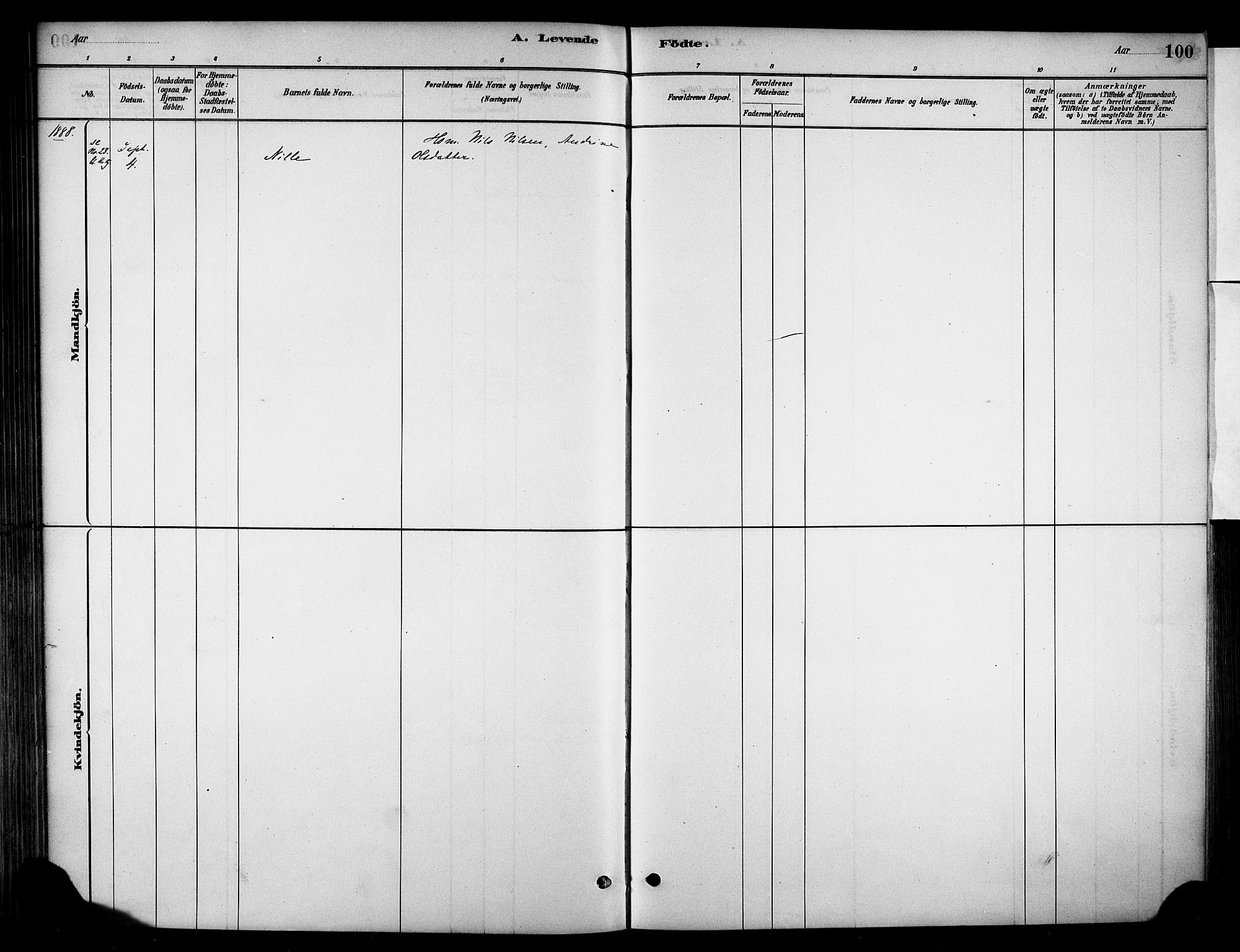 Stange prestekontor, SAH/PREST-002/K/L0018: Parish register (official) no. 18, 1880-1896, p. 100