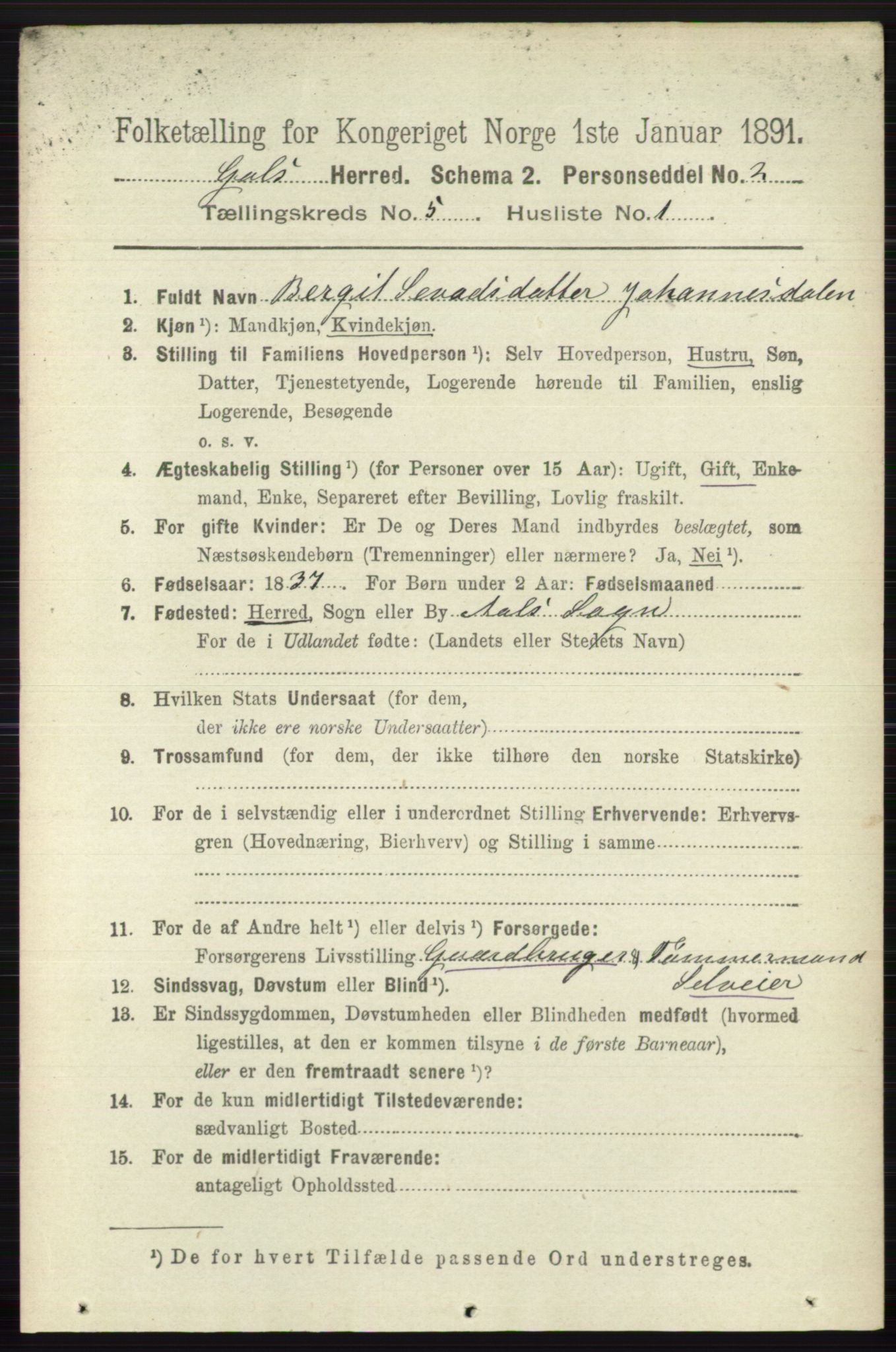 RA, 1891 census for 0617 Gol og Hemsedal, 1891, p. 2306