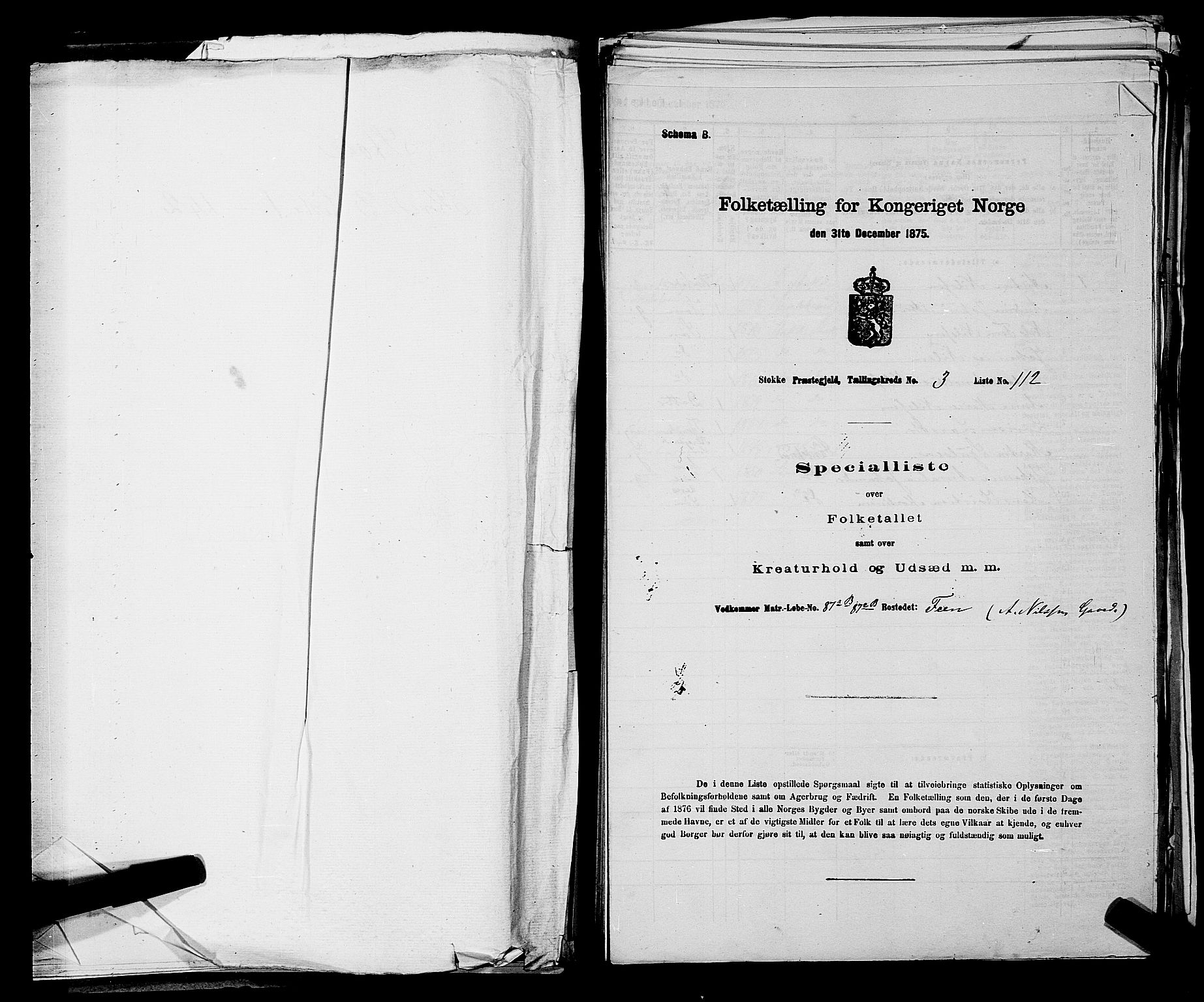 SAKO, 1875 census for 0720P Stokke, 1875, p. 463