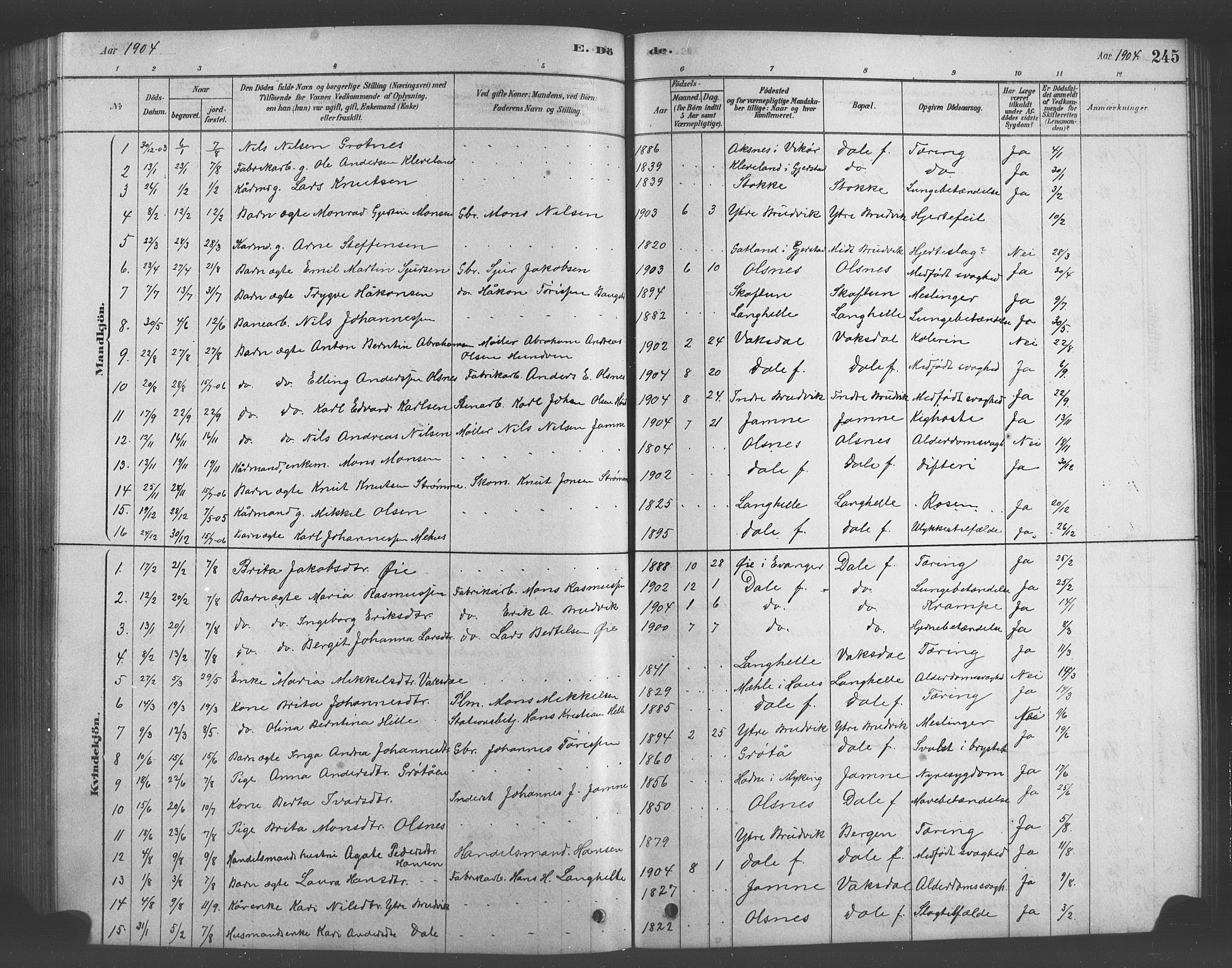 Bruvik Sokneprestembete, SAB/A-74701/H/Hab: Parish register (copy) no. A 1, 1878-1907, p. 245