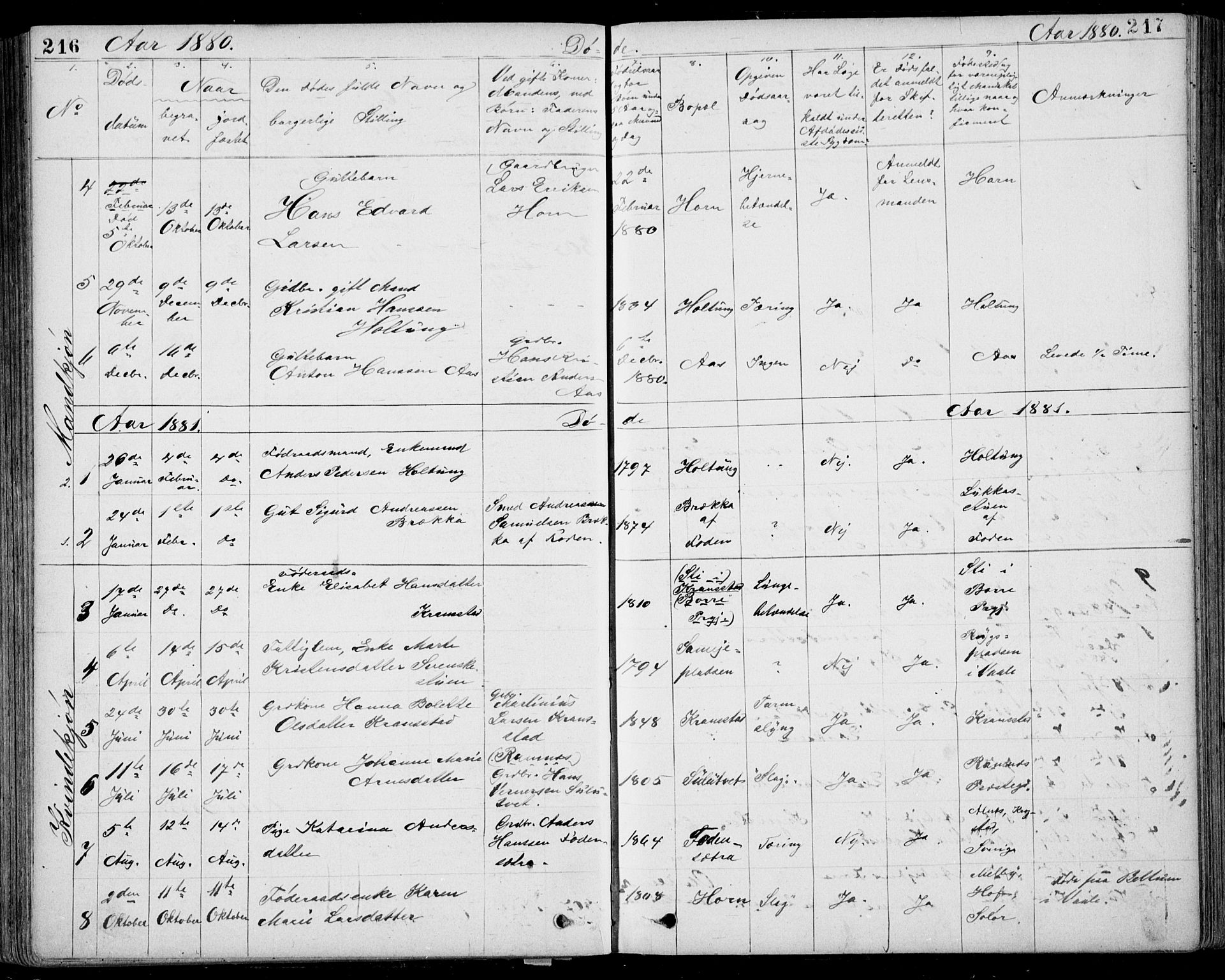 Ramnes kirkebøker, AV/SAKO-A-314/G/Gb/L0001: Parish register (copy) no. II 1, 1869-1904, p. 216-217