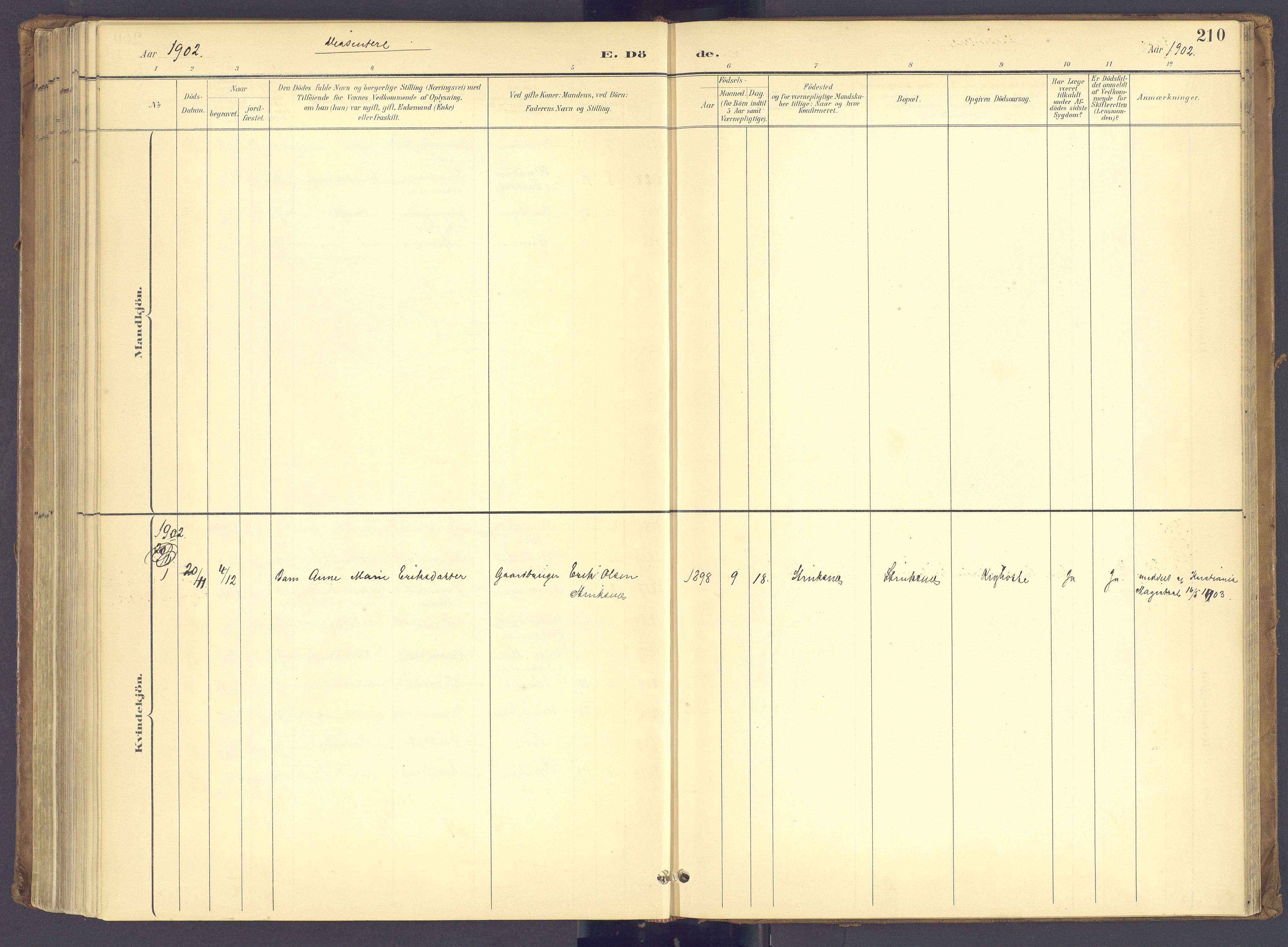 Søndre Land prestekontor, SAH/PREST-122/K/L0006: Parish register (official) no. 6, 1895-1904, p. 210