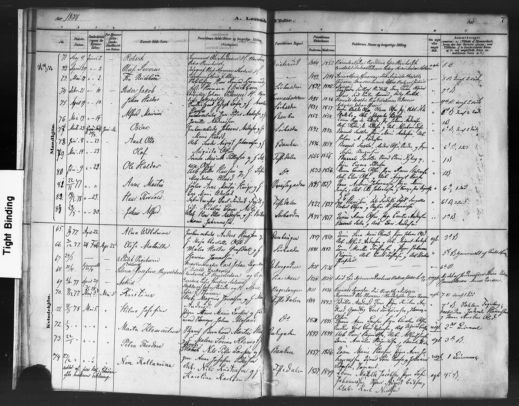 Halden prestekontor Kirkebøker, SAO/A-10909/F/Fa/L0011: Parish register (official) no. I 11, 1878-1889, p. 7