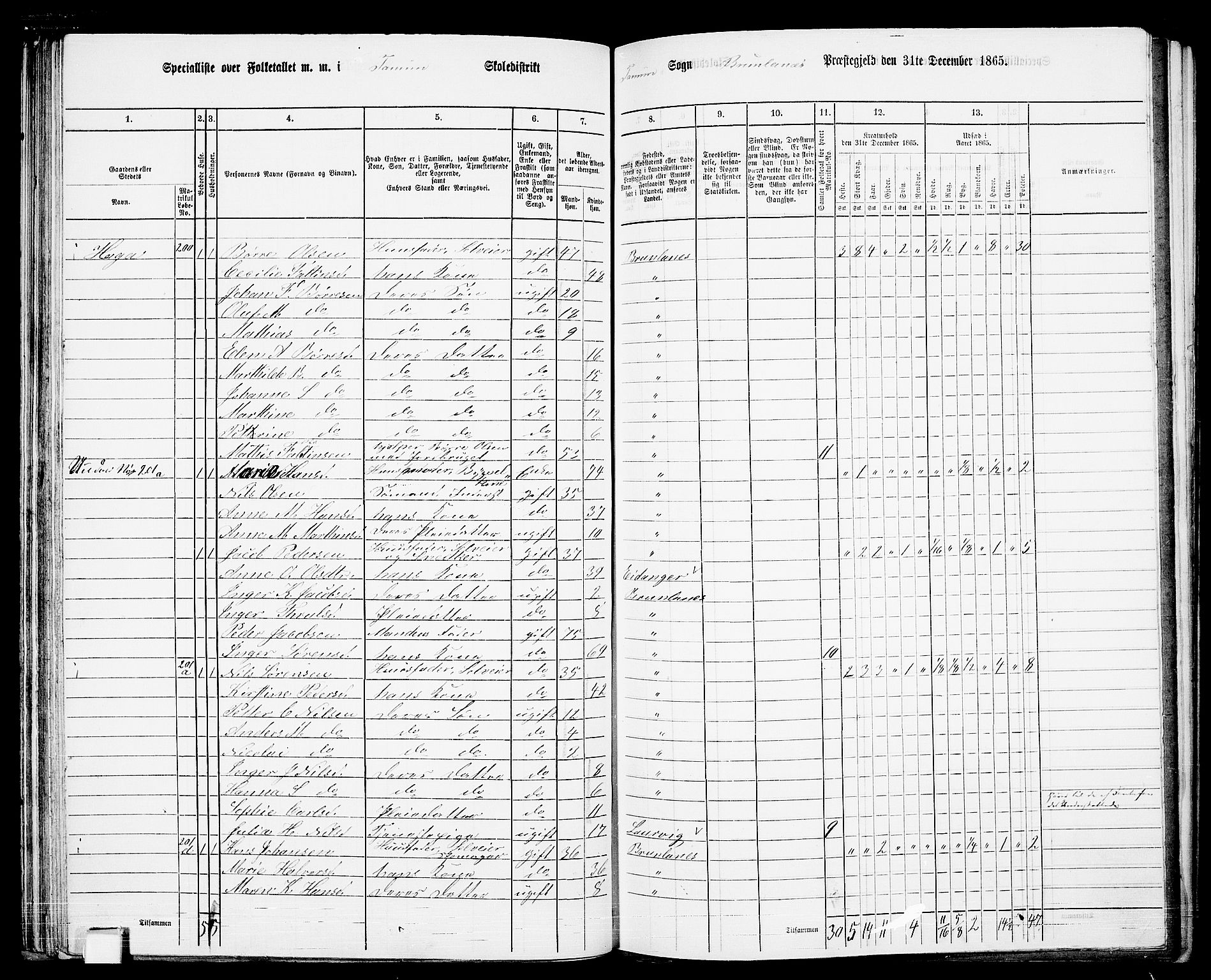 RA, 1865 census for Brunlanes, 1865, p. 57