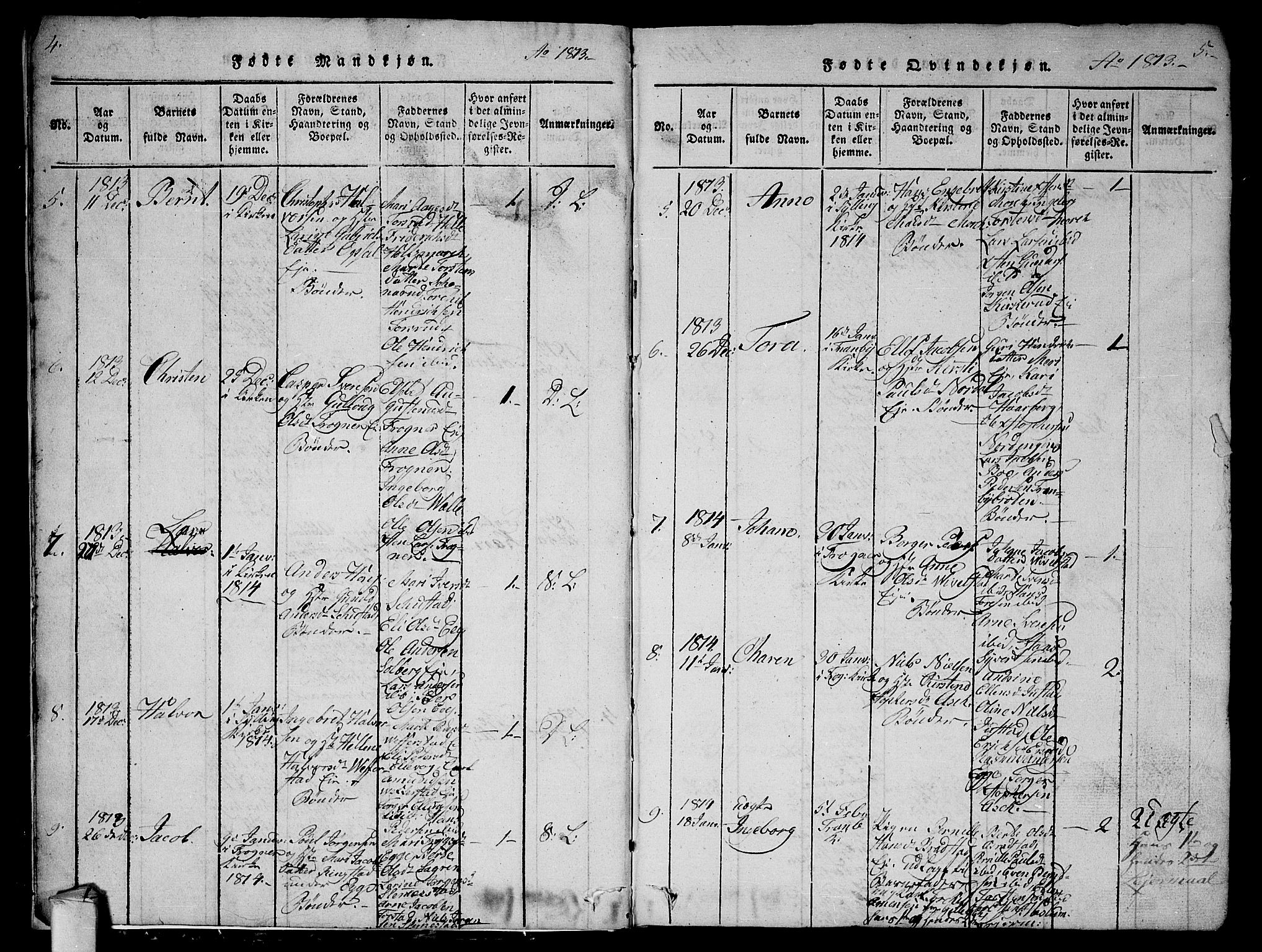 Lier kirkebøker, SAKO/A-230/G/Ga/L0001: Parish register (copy) no. I 1, 1813-1824, p. 4-5