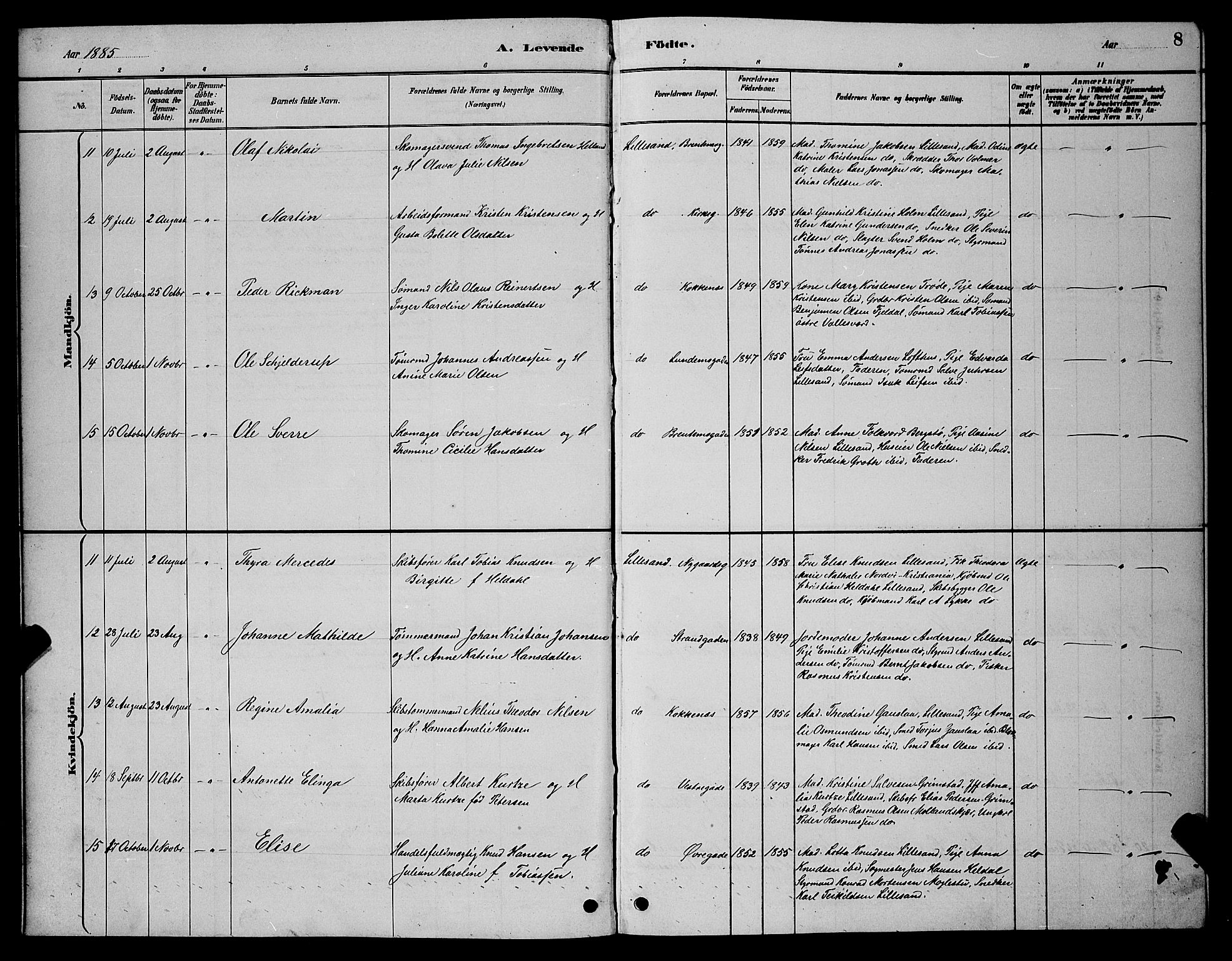 Vestre Moland sokneprestkontor, AV/SAK-1111-0046/F/Fb/Fba/L0001: Parish register (copy) no. B 1, 1884-1903, p. 8