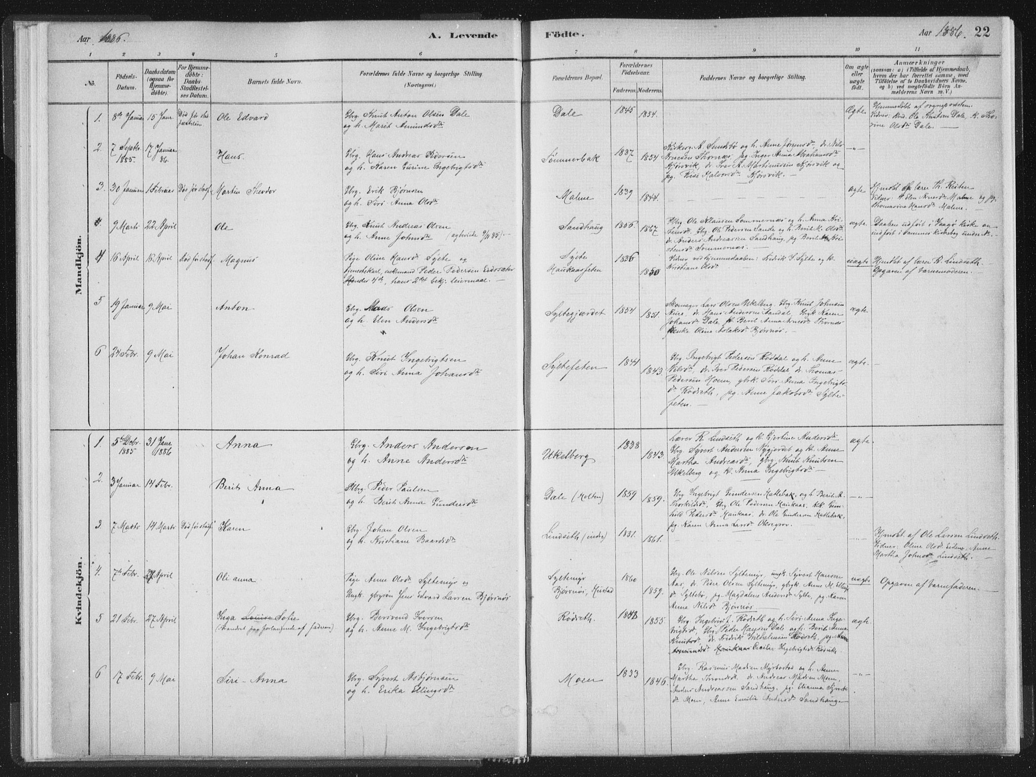 Ministerialprotokoller, klokkerbøker og fødselsregistre - Møre og Romsdal, AV/SAT-A-1454/564/L0740: Parish register (official) no. 564A01, 1880-1899, p. 22