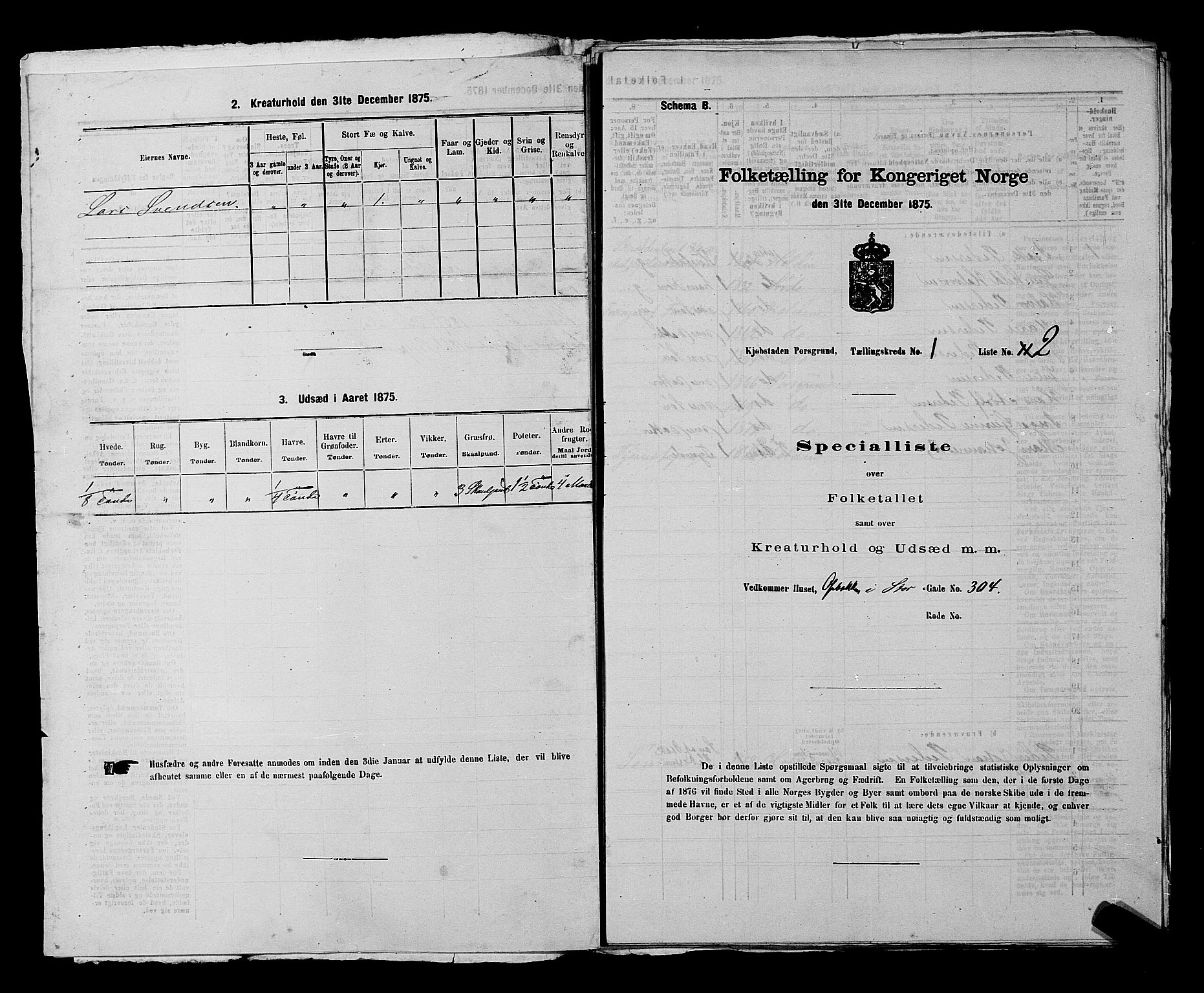 SAKO, 1875 census for 0805P Porsgrunn, 1875, p. 33