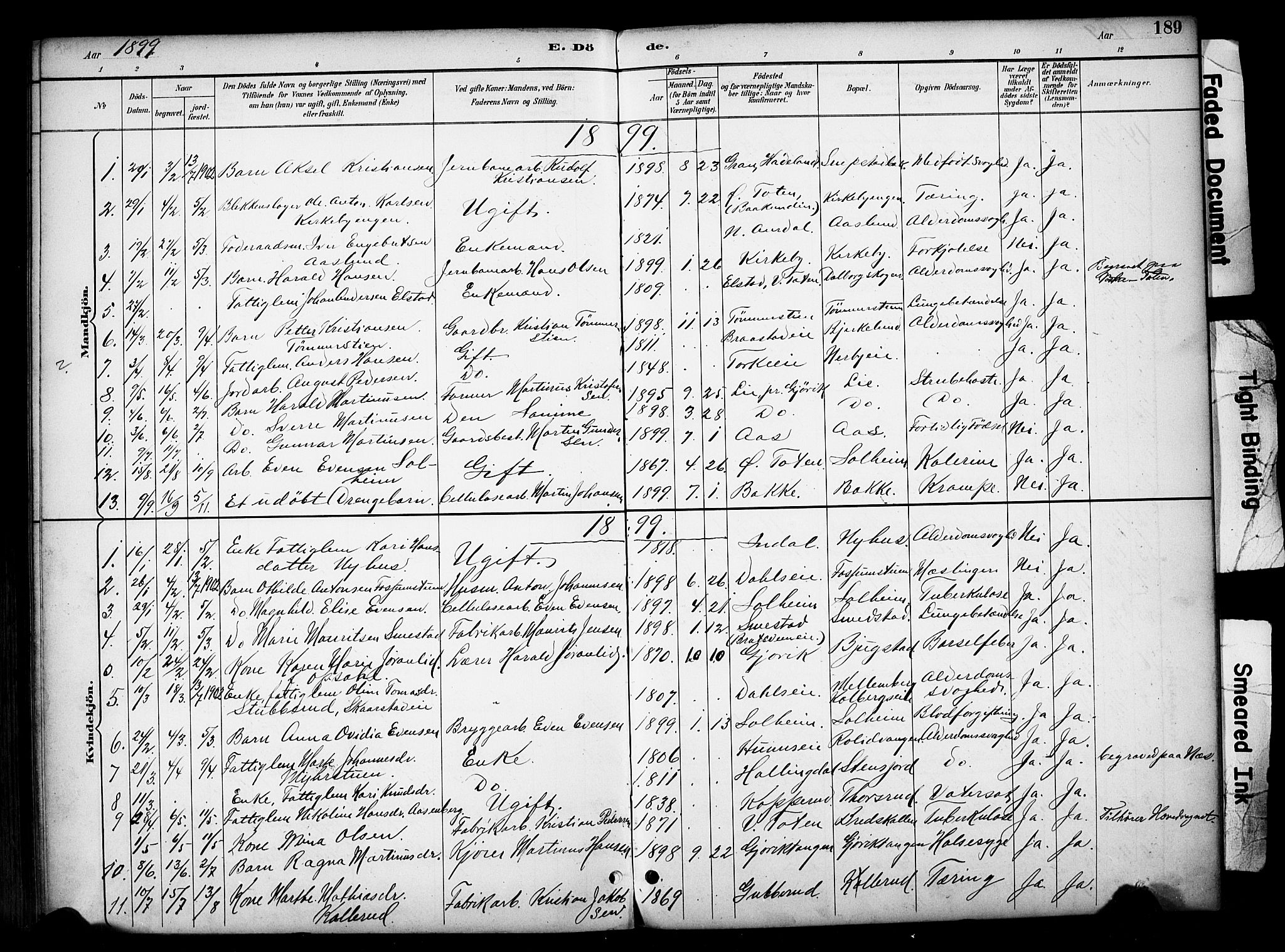 Vardal prestekontor, SAH/PREST-100/H/Ha/Haa/L0012: Parish register (official) no. 12, 1893-1904, p. 189