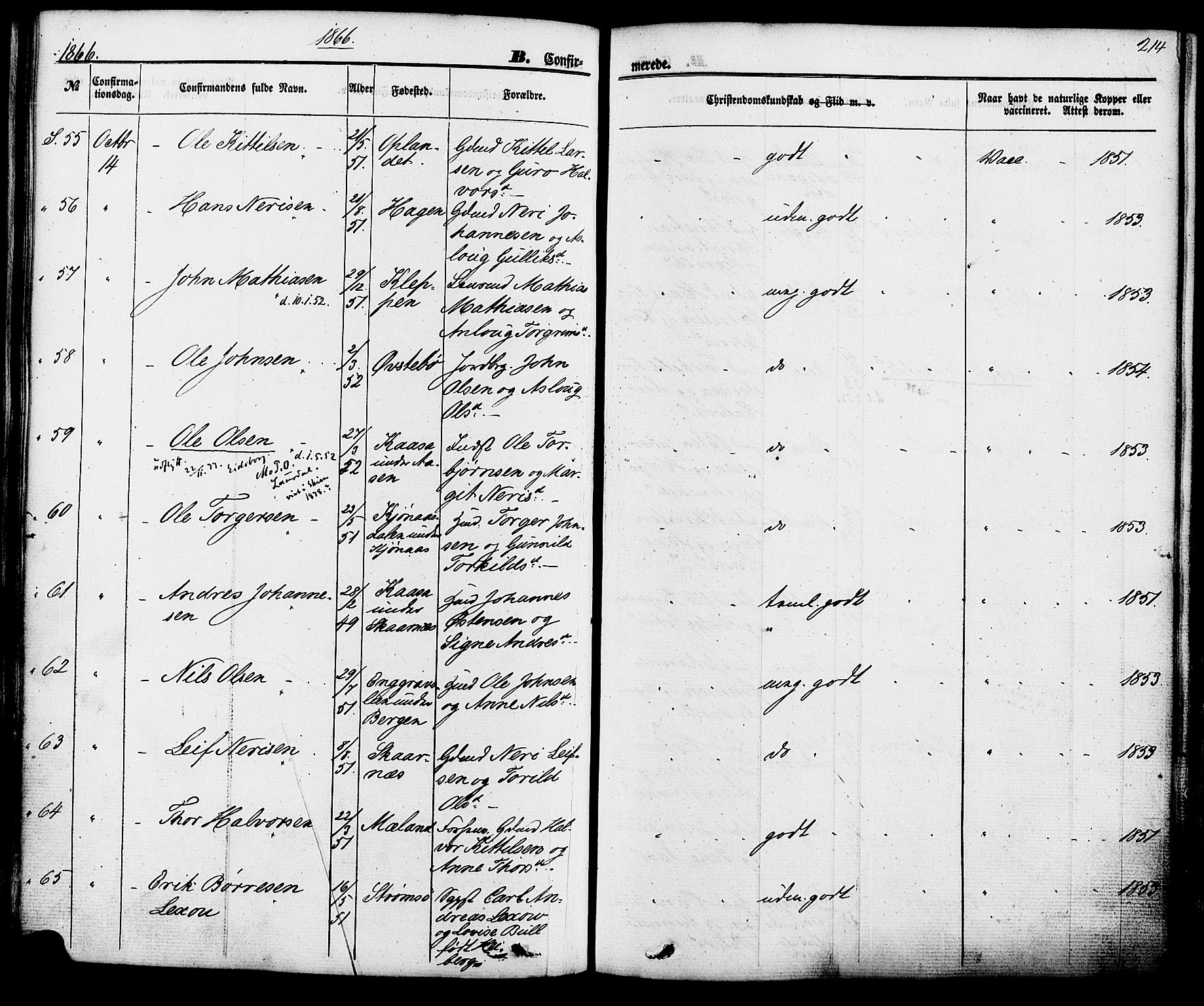 Hjartdal kirkebøker, SAKO/A-270/F/Fa/L0009: Parish register (official) no. I 9, 1860-1879, p. 214