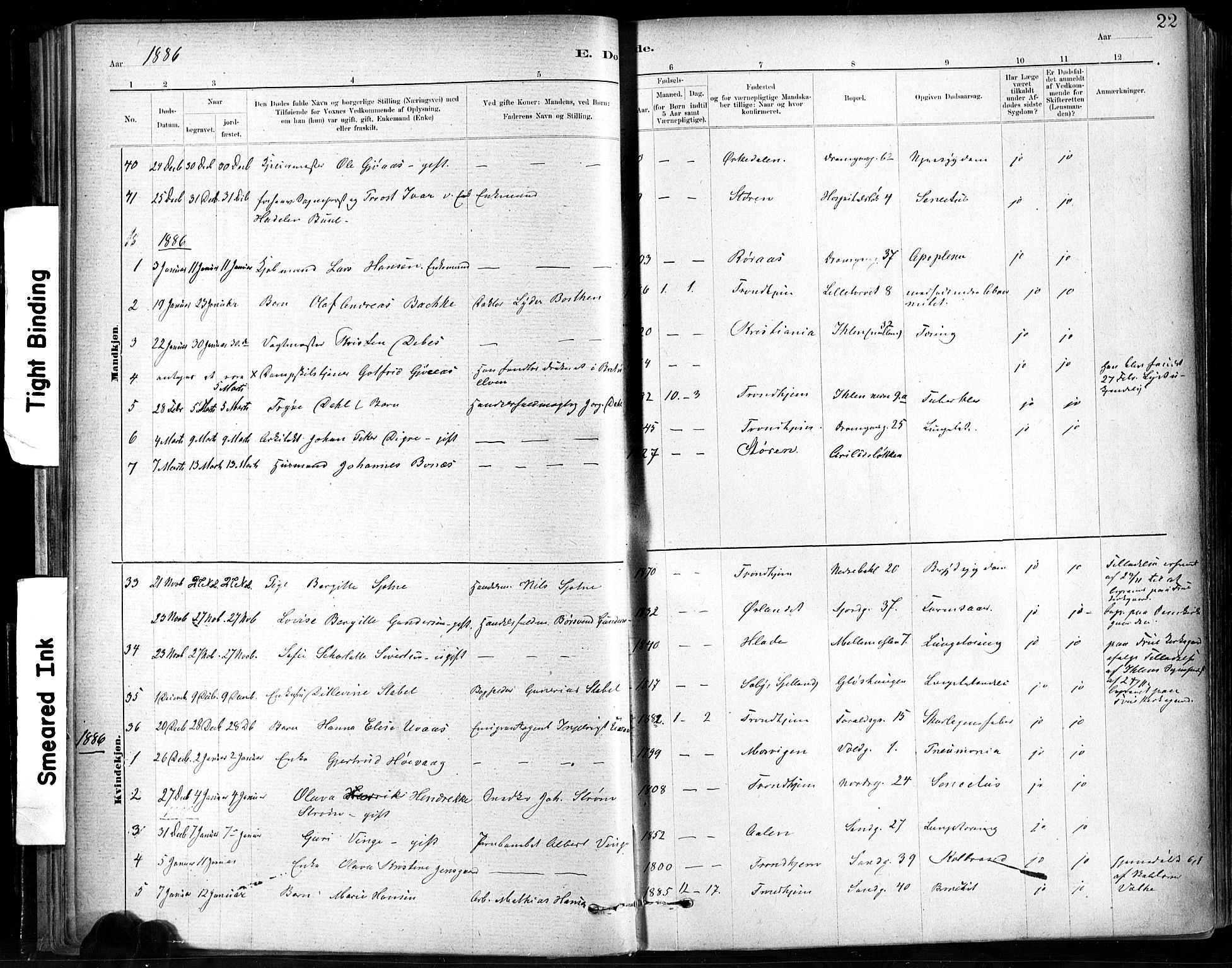Ministerialprotokoller, klokkerbøker og fødselsregistre - Sør-Trøndelag, SAT/A-1456/602/L0120: Parish register (official) no. 602A18, 1880-1913, p. 22