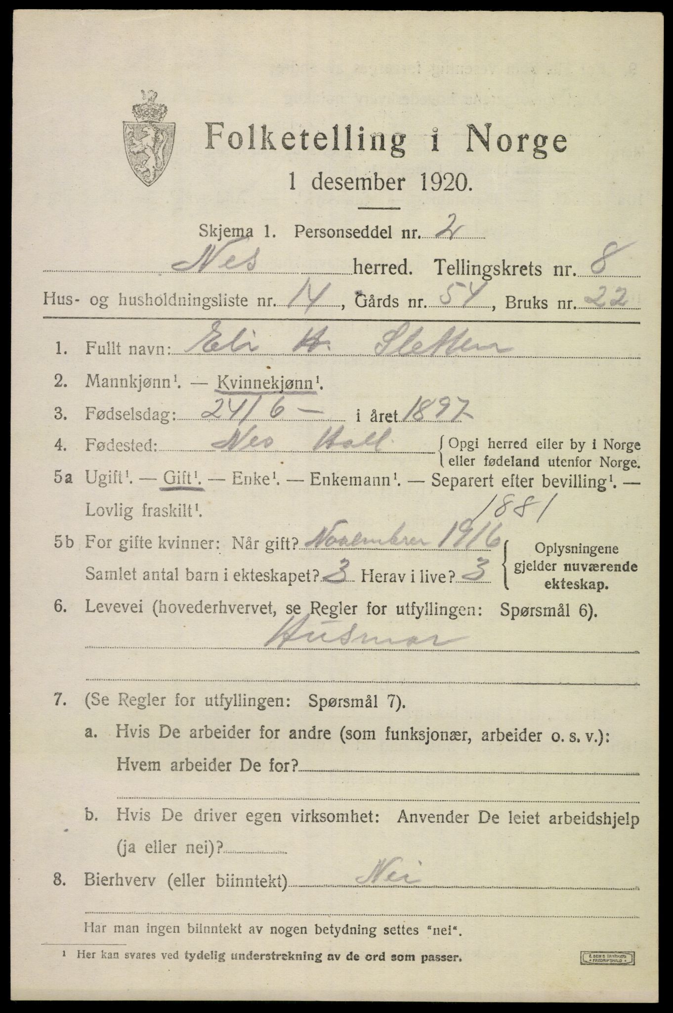 SAKO, 1920 census for Nes (Buskerud), 1920, p. 5204