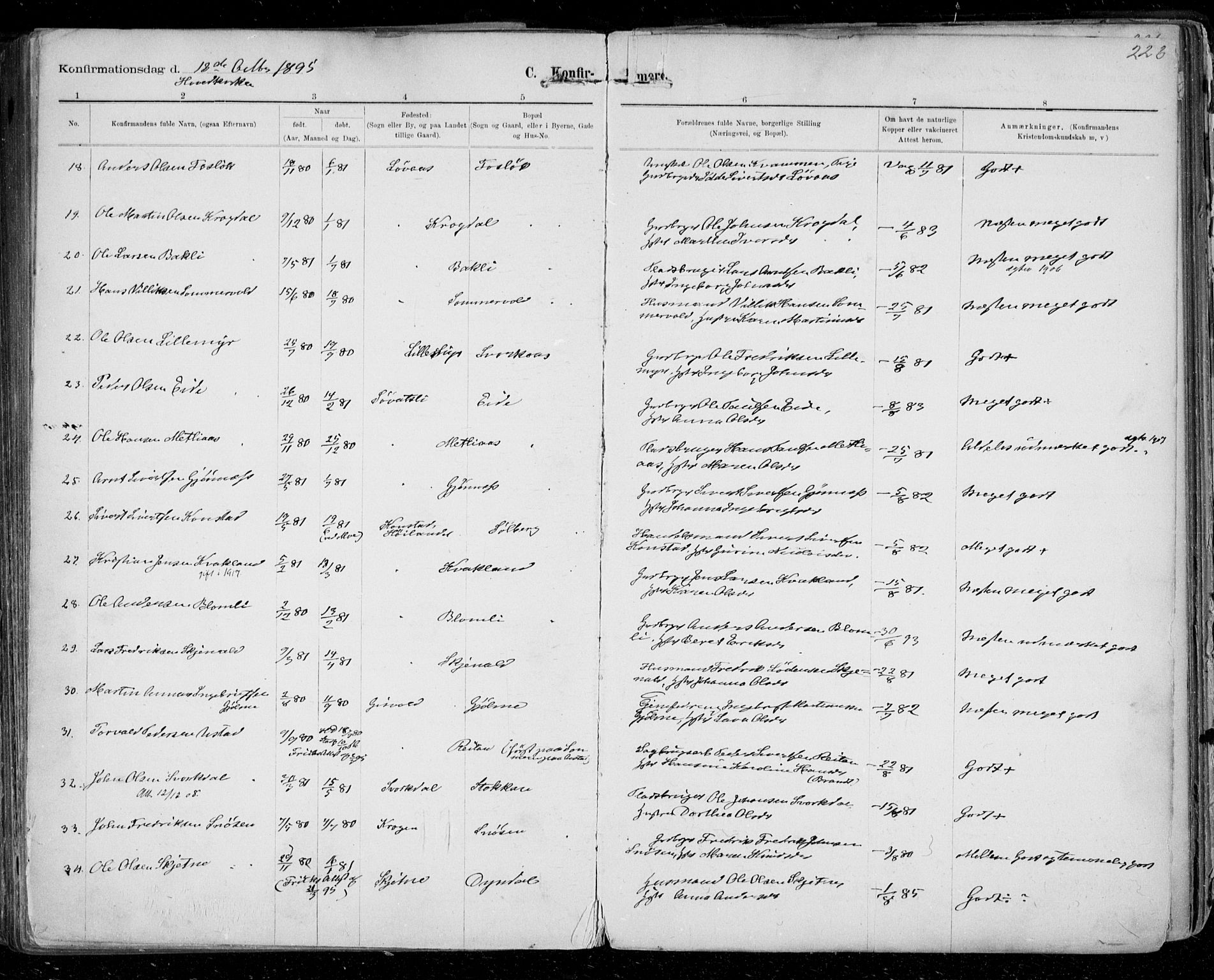 Ministerialprotokoller, klokkerbøker og fødselsregistre - Sør-Trøndelag, SAT/A-1456/668/L0811: Parish register (official) no. 668A11, 1894-1913, p. 223