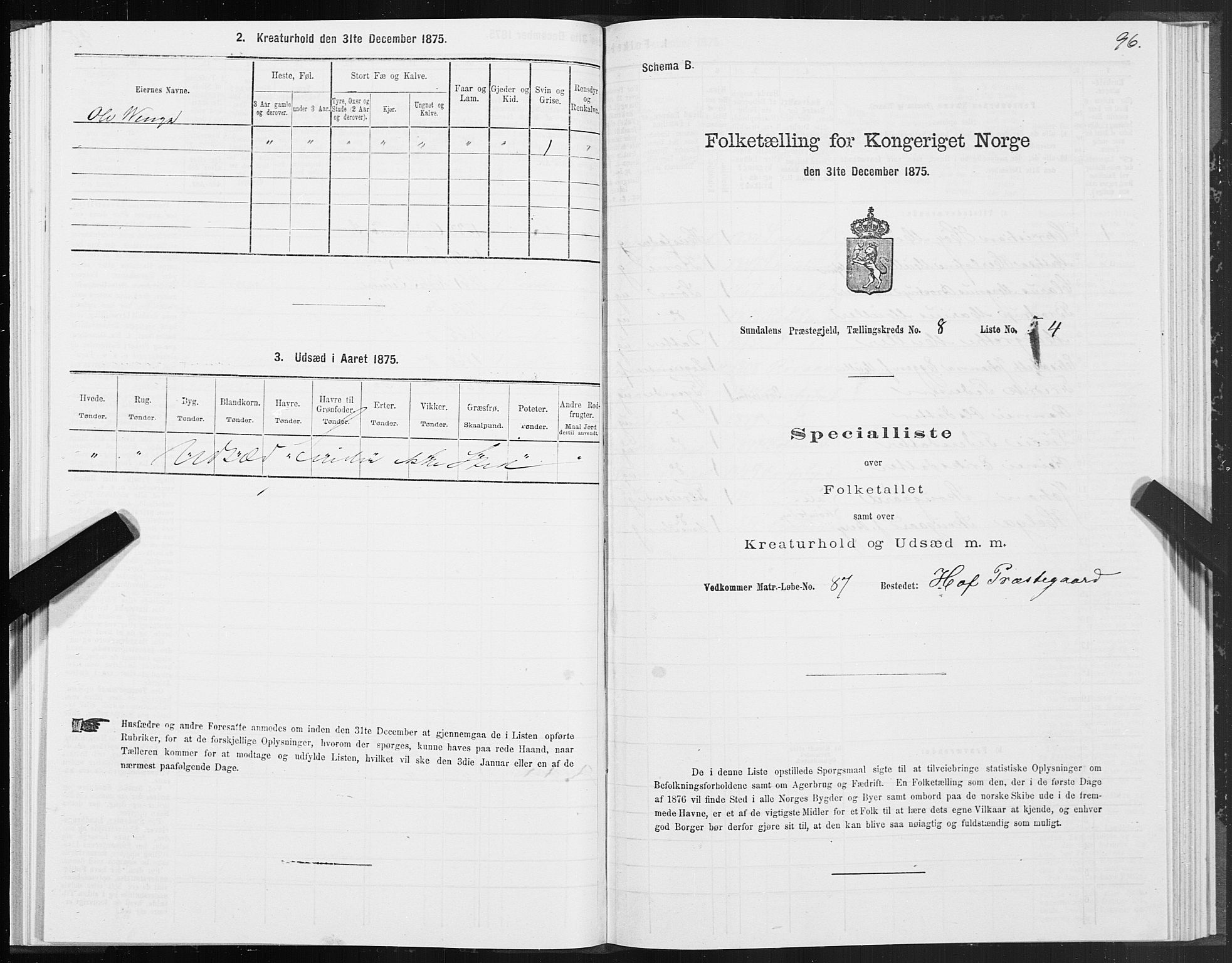 SAT, 1875 census for 1563P Sunndal, 1875, p. 3096