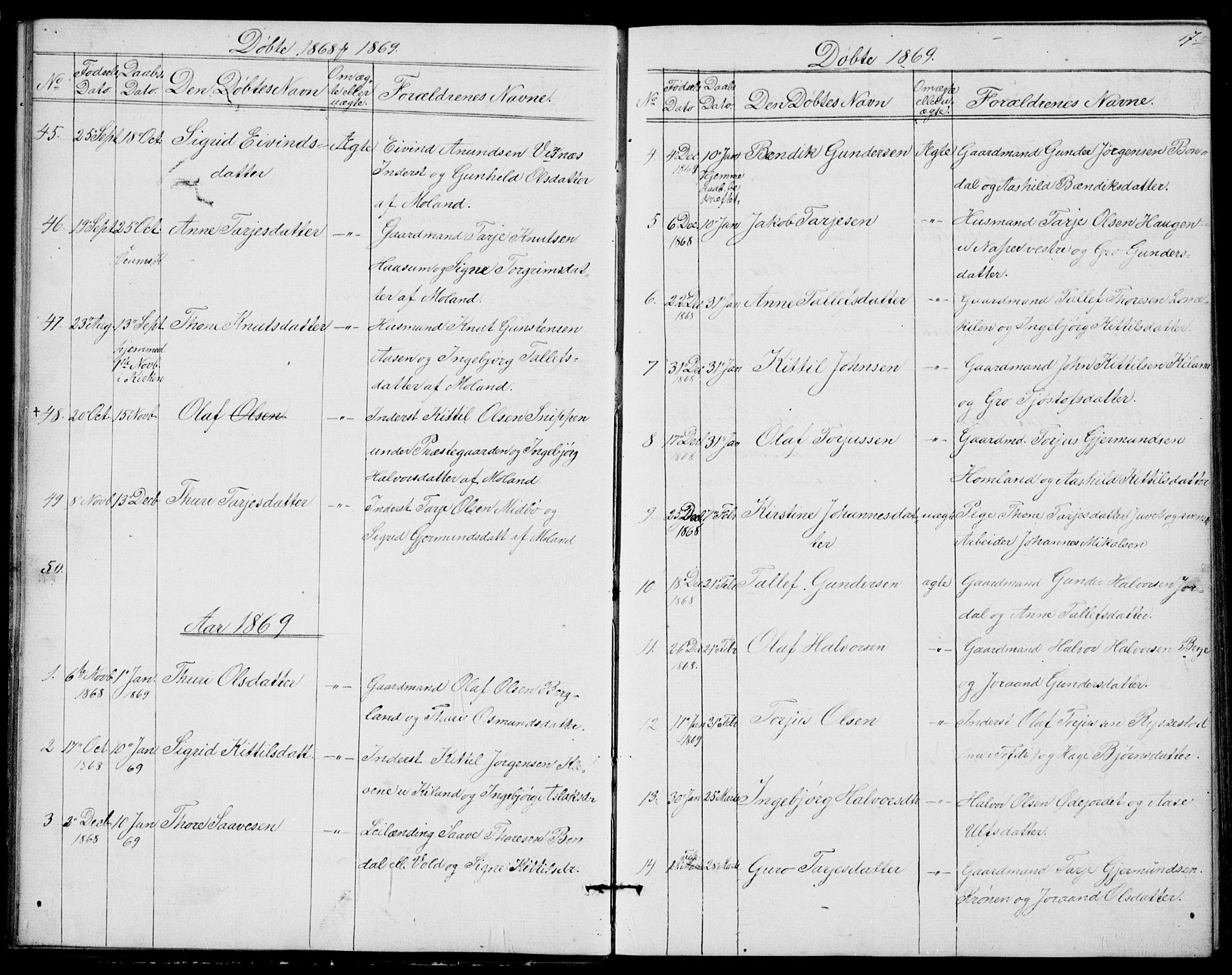 Fyresdal kirkebøker, SAKO/A-263/G/Ga/L0004: Parish register (copy) no. I 4, 1864-1892, p. 17