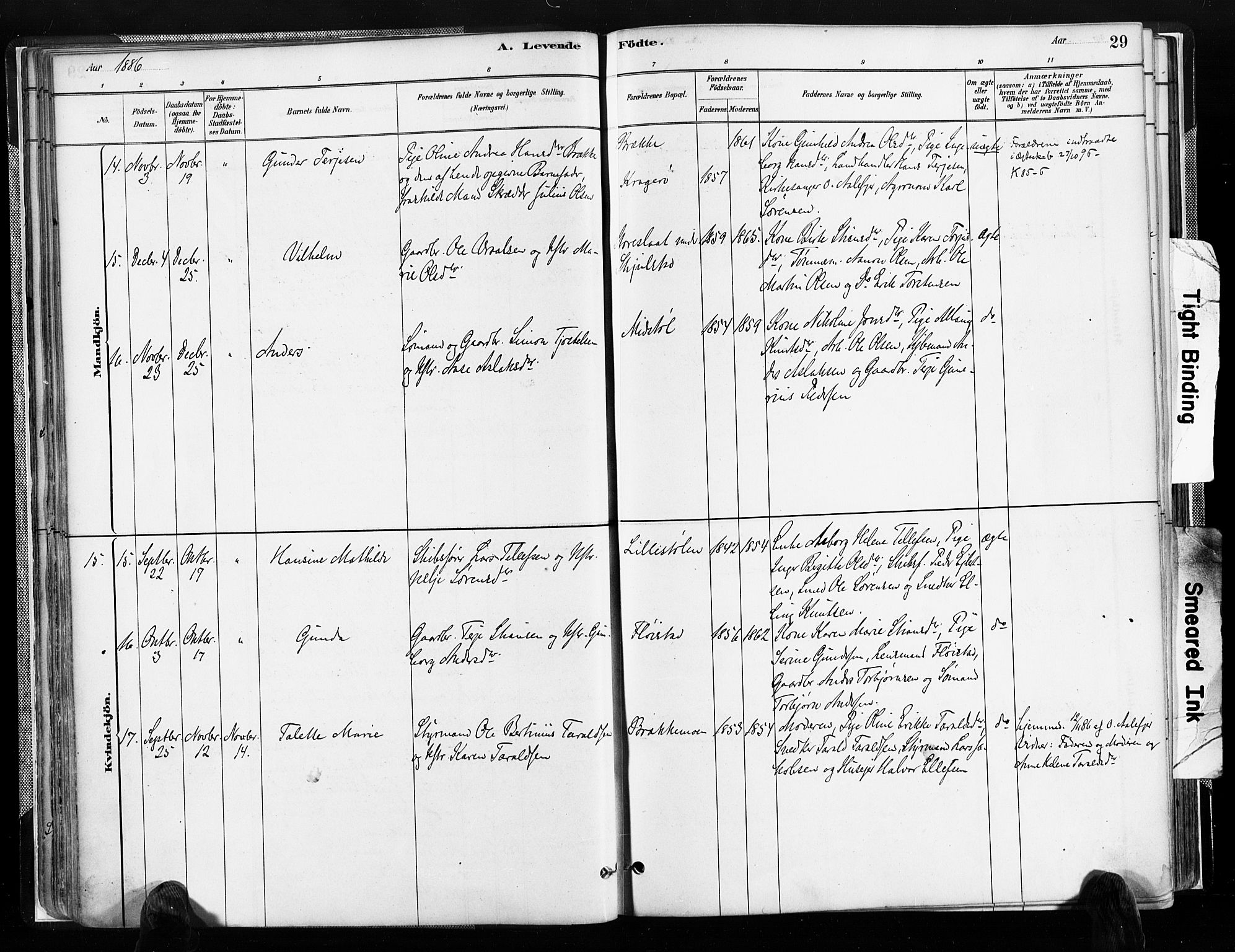 Austre Moland sokneprestkontor, SAK/1111-0001/F/Fa/Faa/L0010: Parish register (official) no. A 10, 1880-1904, p. 29