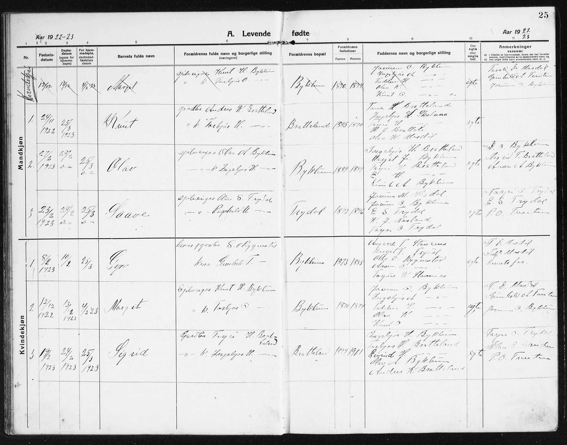 Valle sokneprestkontor, SAK/1111-0044/F/Fb/Fba/L0004: Parish register (copy) no. B 4, 1917-1944, p. 25