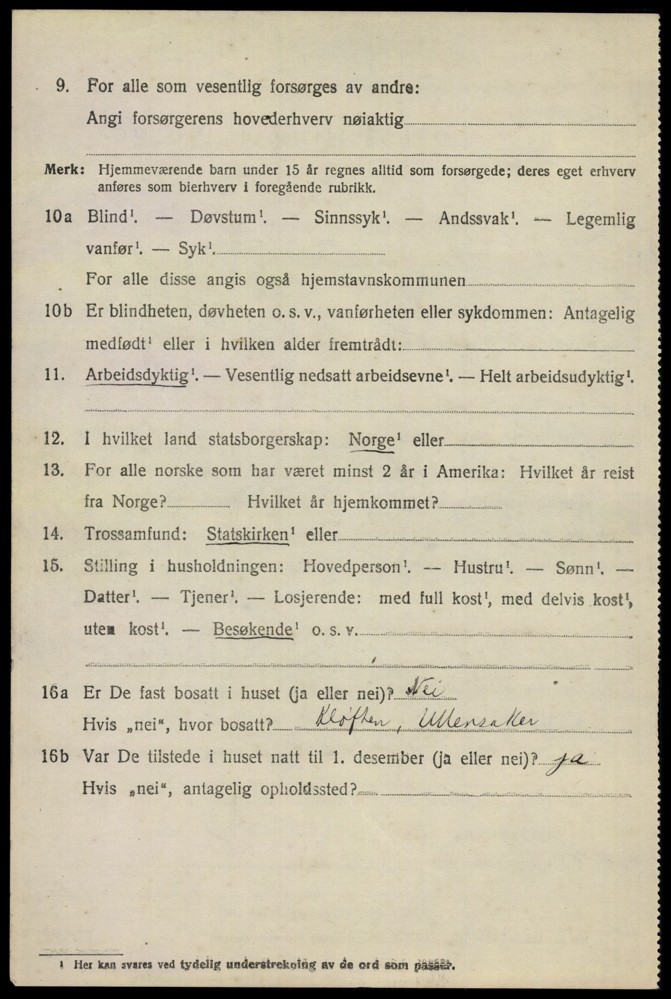 SAO, 1920 census for Nes, 1920, p. 13413