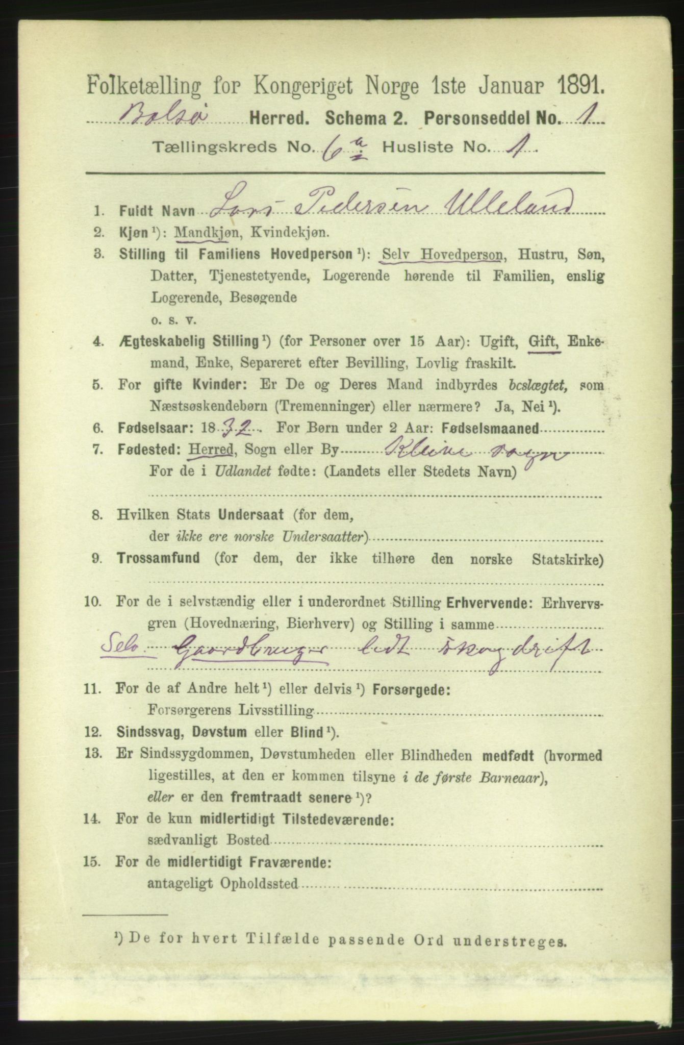 RA, 1891 census for 1544 Bolsøy, 1891, p. 3728