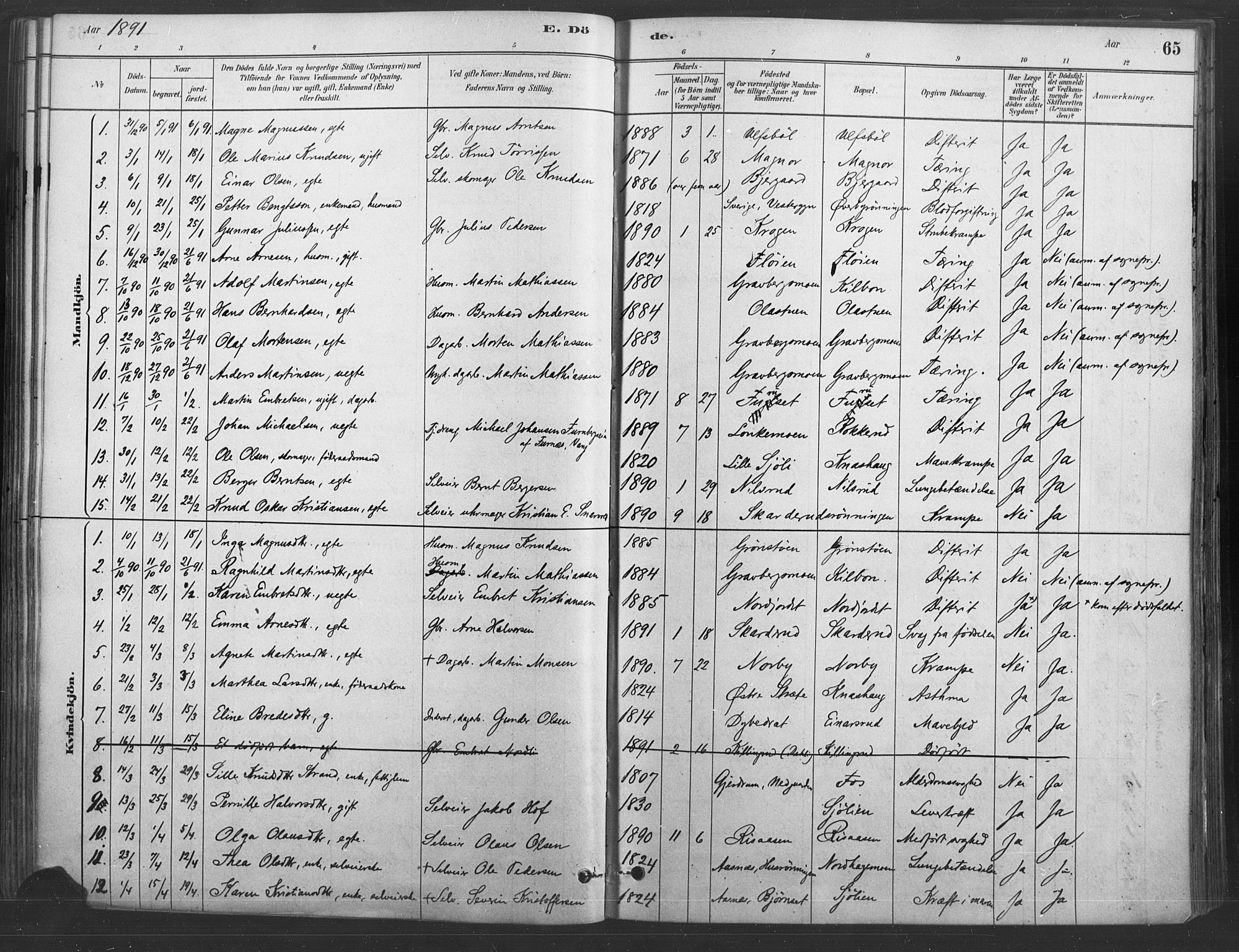 Våler prestekontor, Hedmark, SAH/PREST-040/H/Ha/Haa/L0004: Parish register (official) no. 4, 1879-1893, p. 65