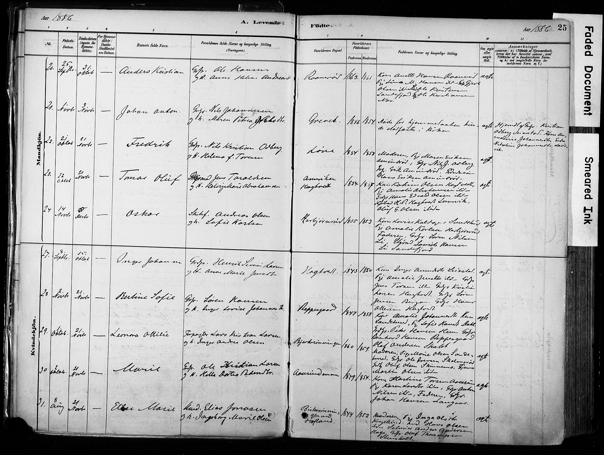 Hedrum kirkebøker, AV/SAKO-A-344/F/Fa/L0009: Parish register (official) no. I 9, 1881-1903, p. 25