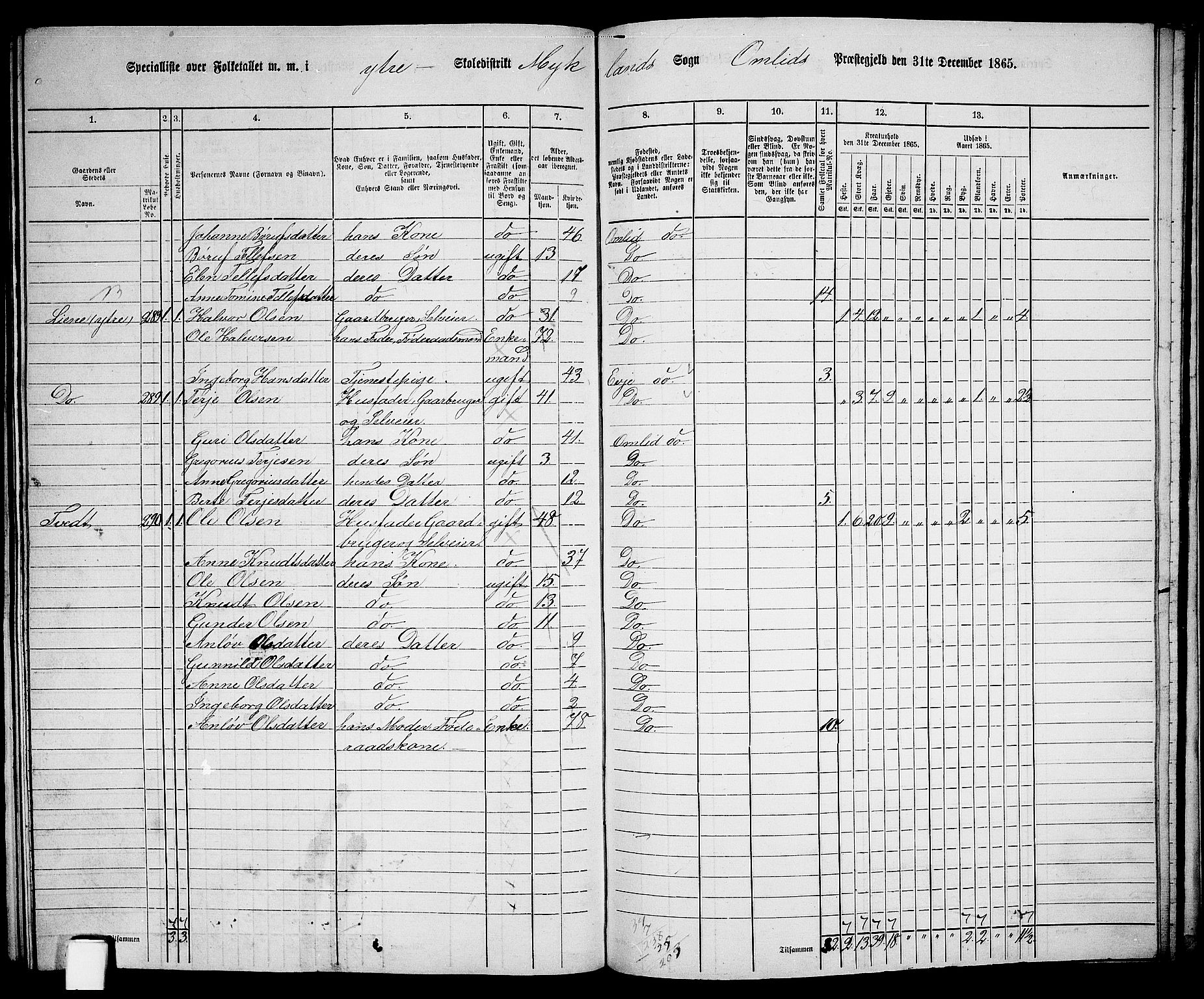 RA, 1865 census for Åmli, 1865, p. 97