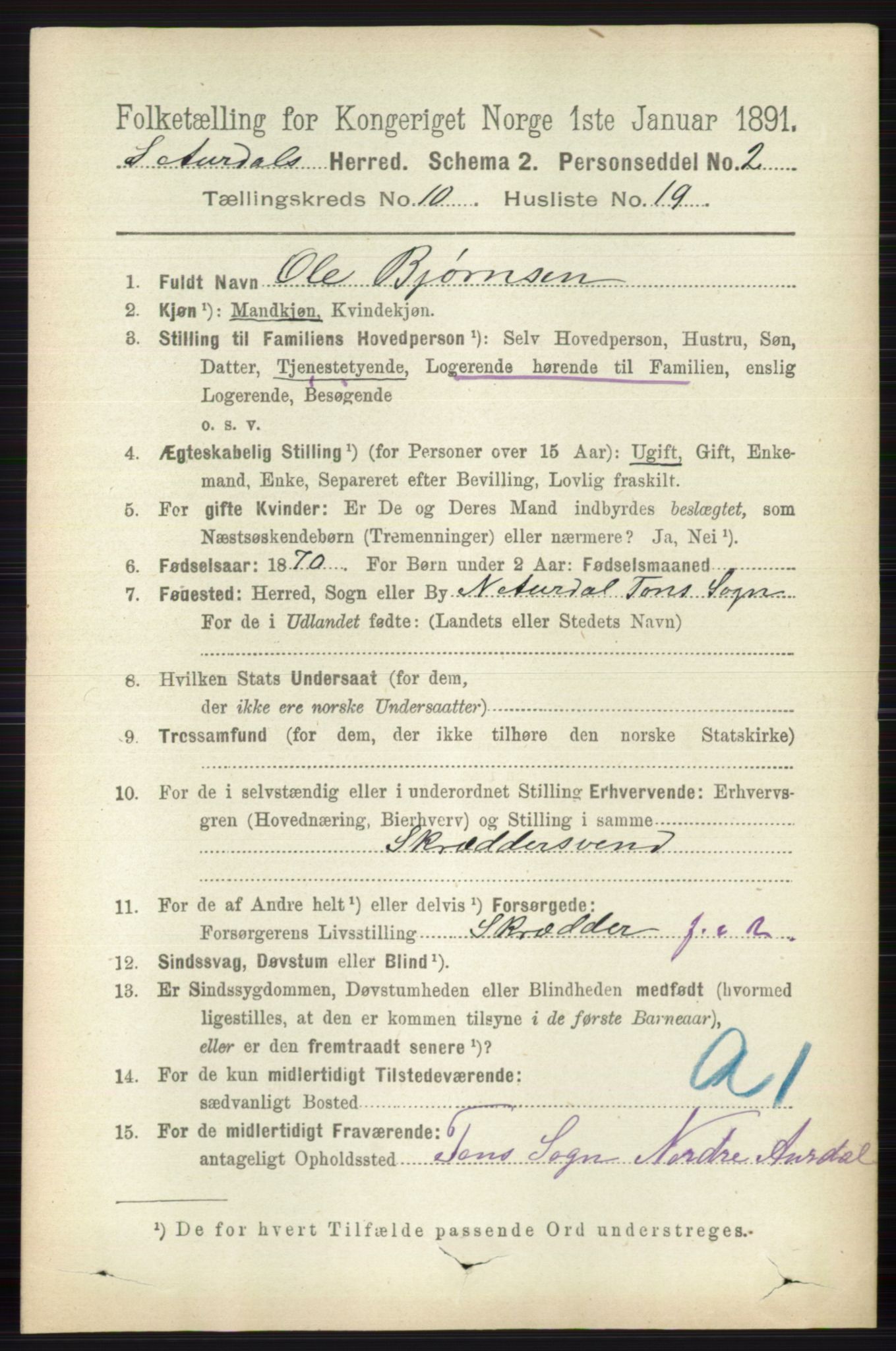RA, 1891 census for 0540 Sør-Aurdal, 1891, p. 6033