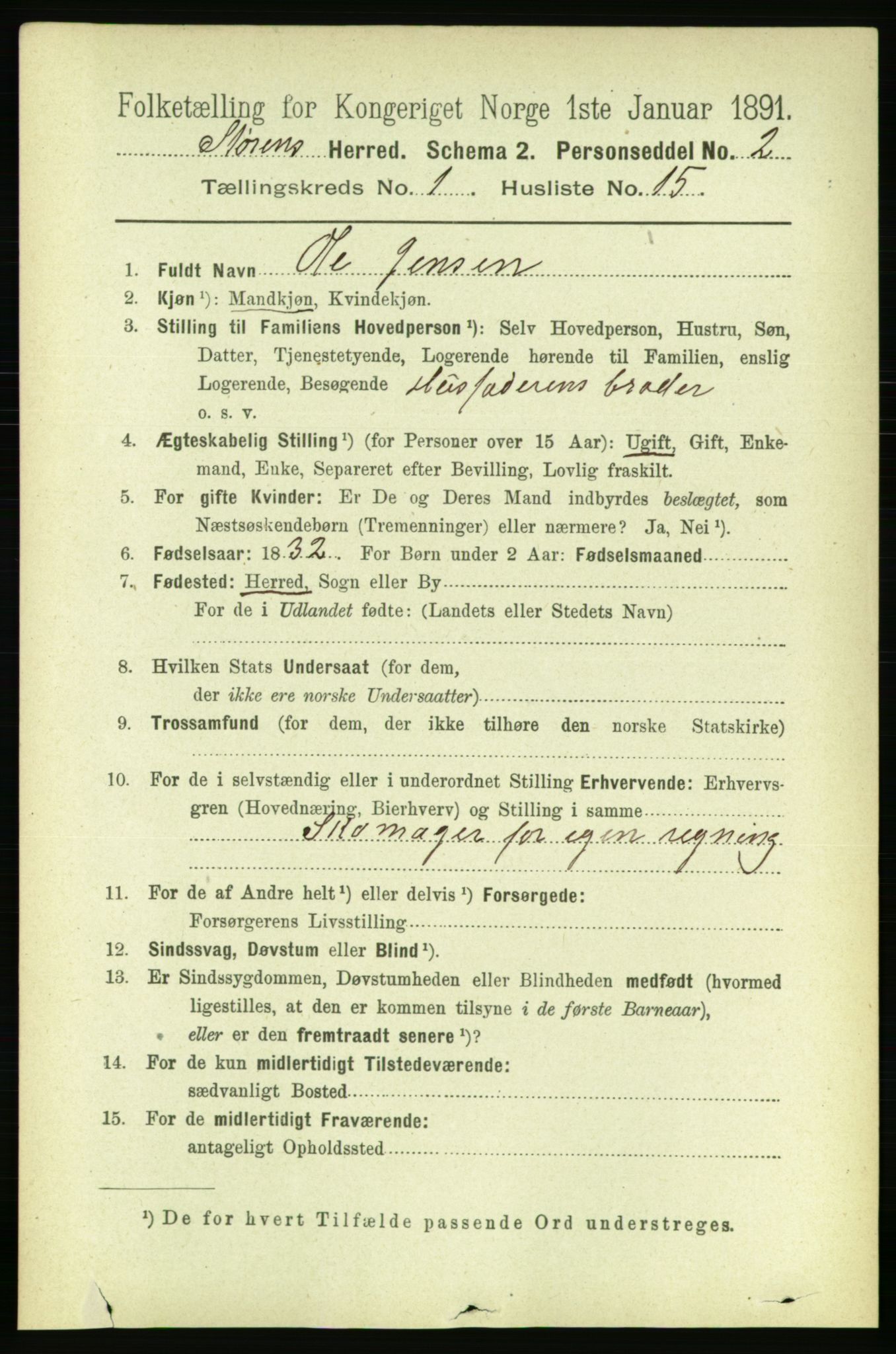 RA, 1891 census for 1648 Støren, 1891, p. 156