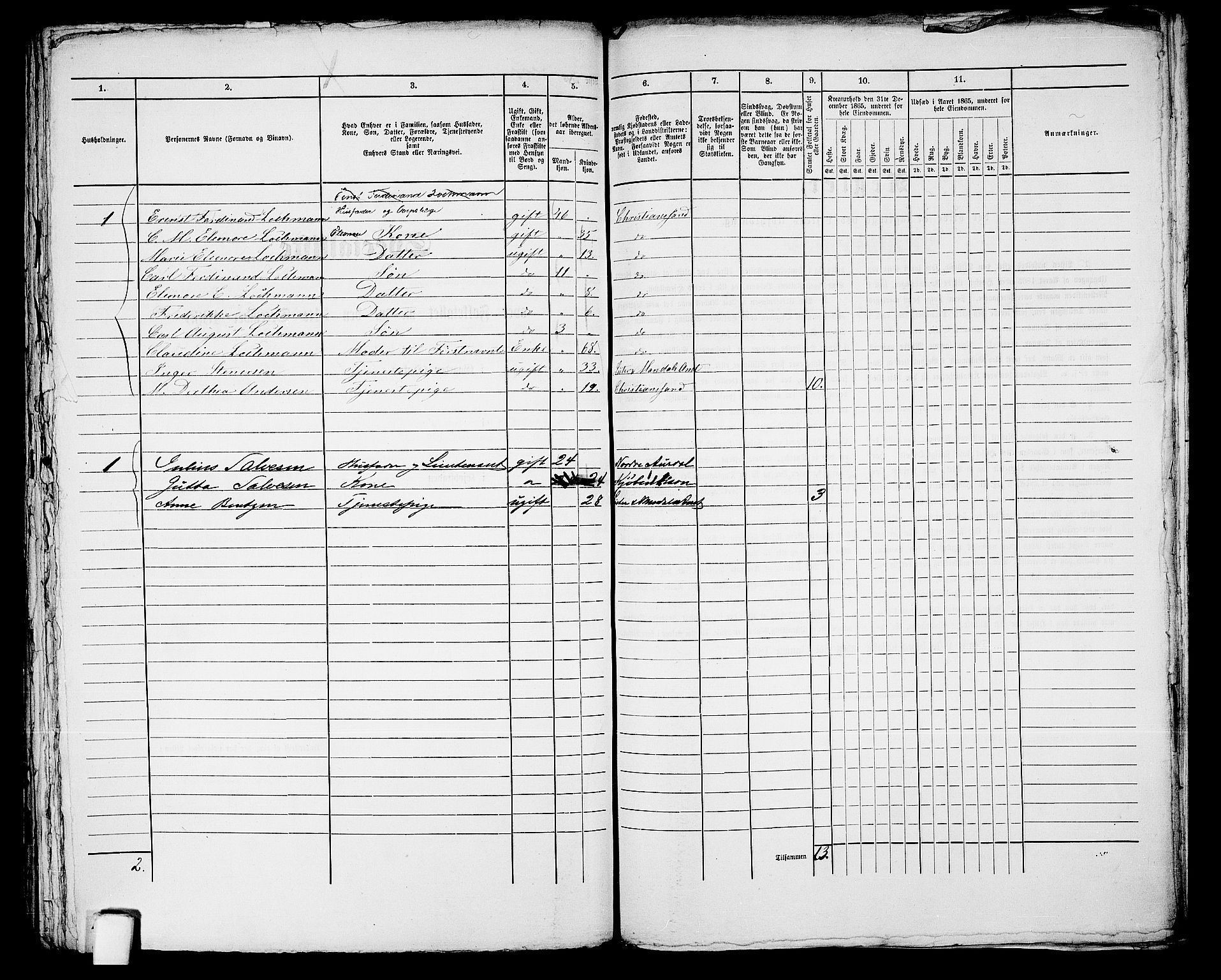 RA, 1865 census for Kristiansand, 1865, p. 1482