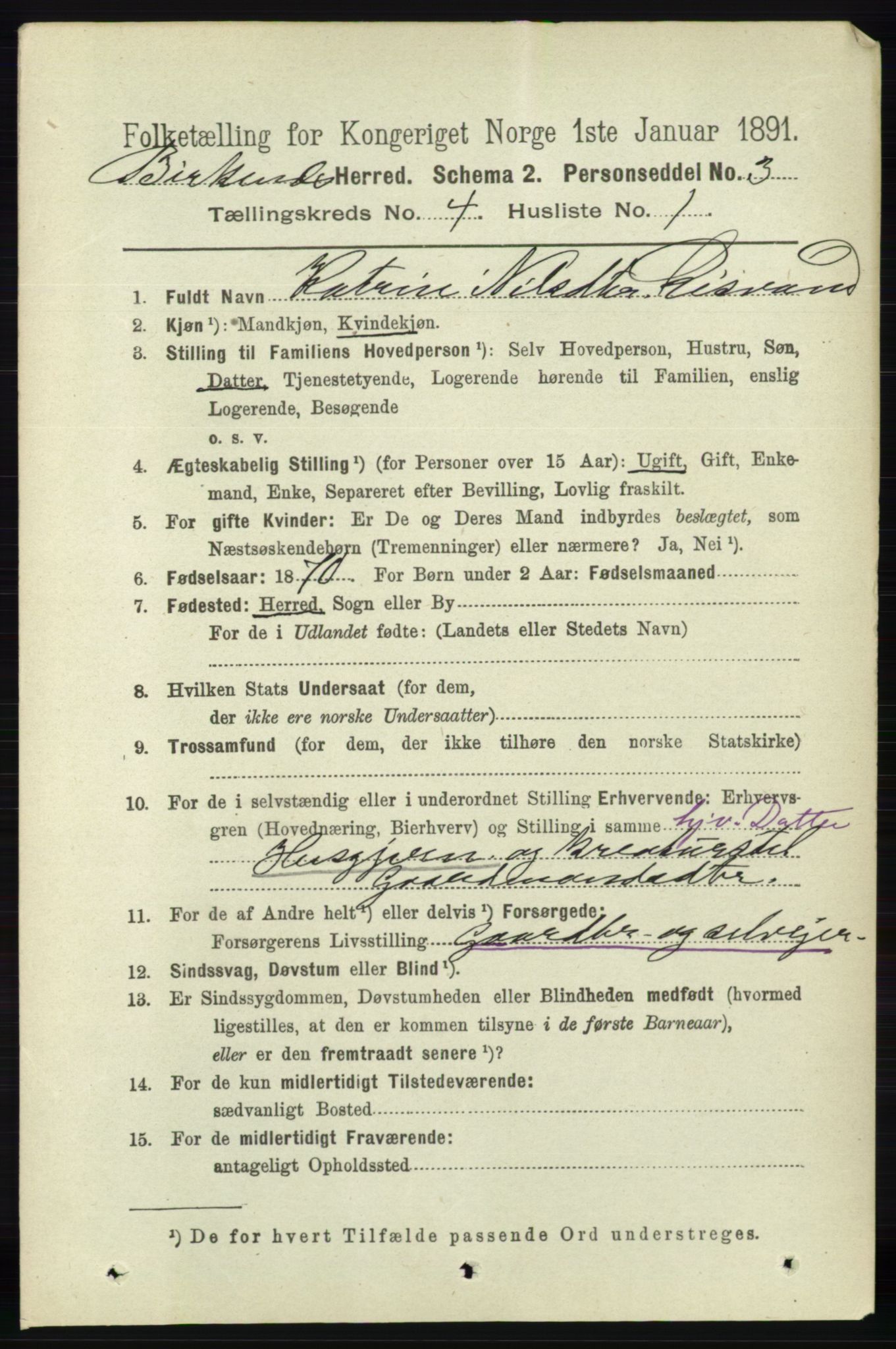 RA, 1891 Census for 0928 Birkenes, 1891, p. 1250