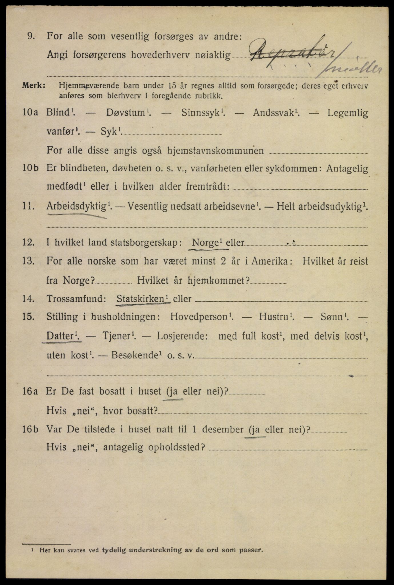 SAKO, 1920 census for Larvik, 1920, p. 13021