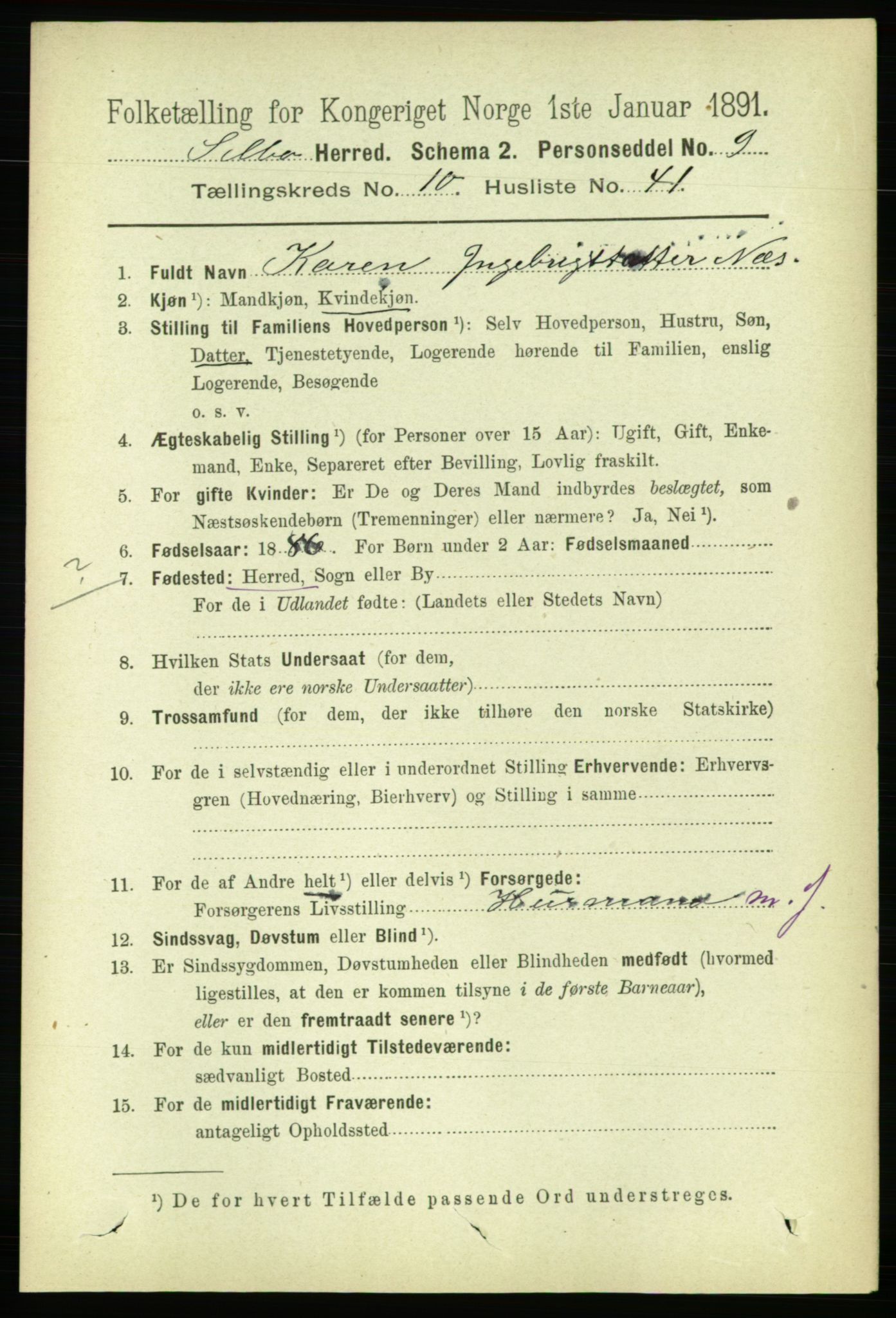 RA, 1891 census for 1664 Selbu, 1891, p. 3918