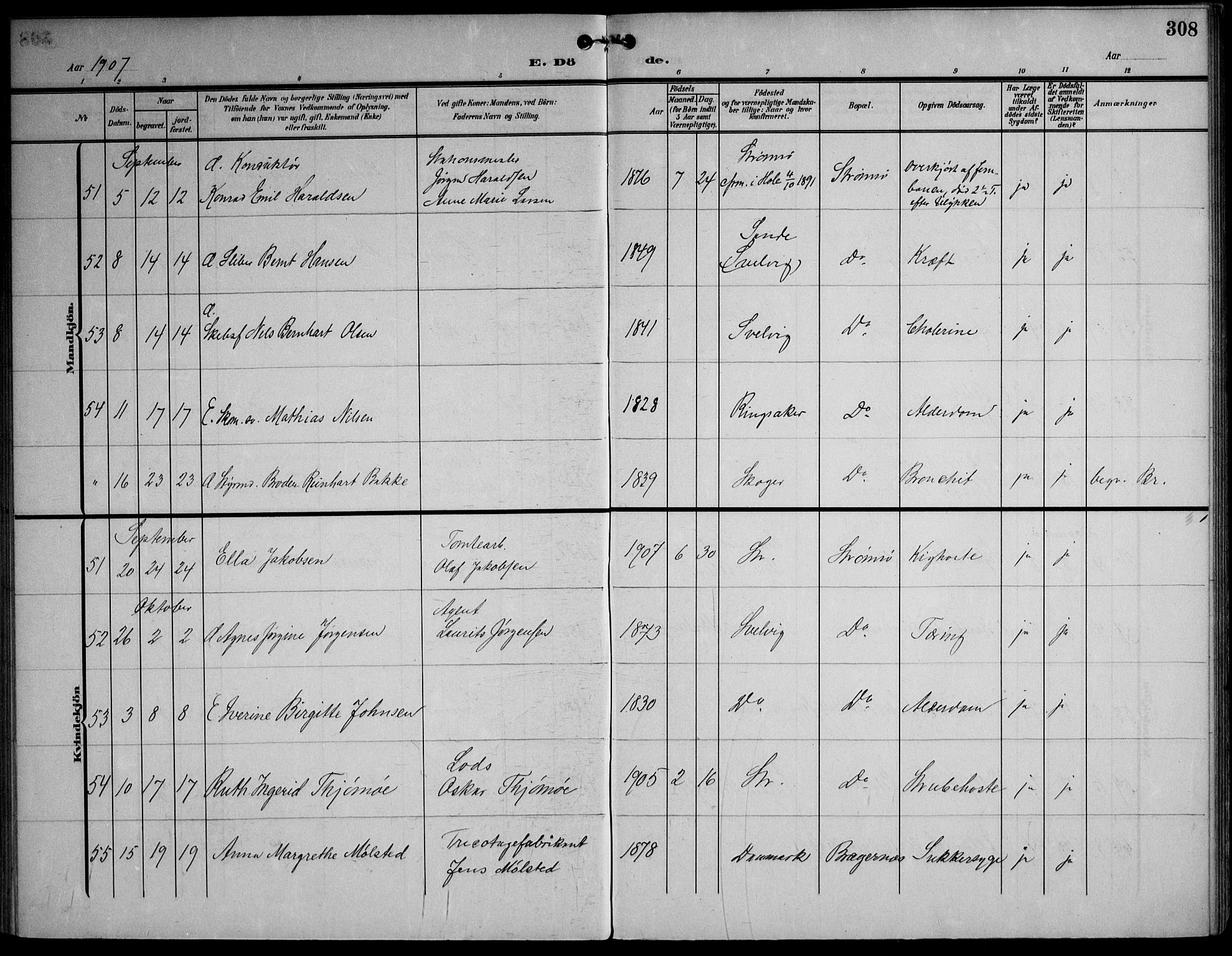 Strømsø kirkebøker, AV/SAKO-A-246/F/Fa/L0026: Parish register (official) no. I 26, 1905-1914, p. 308