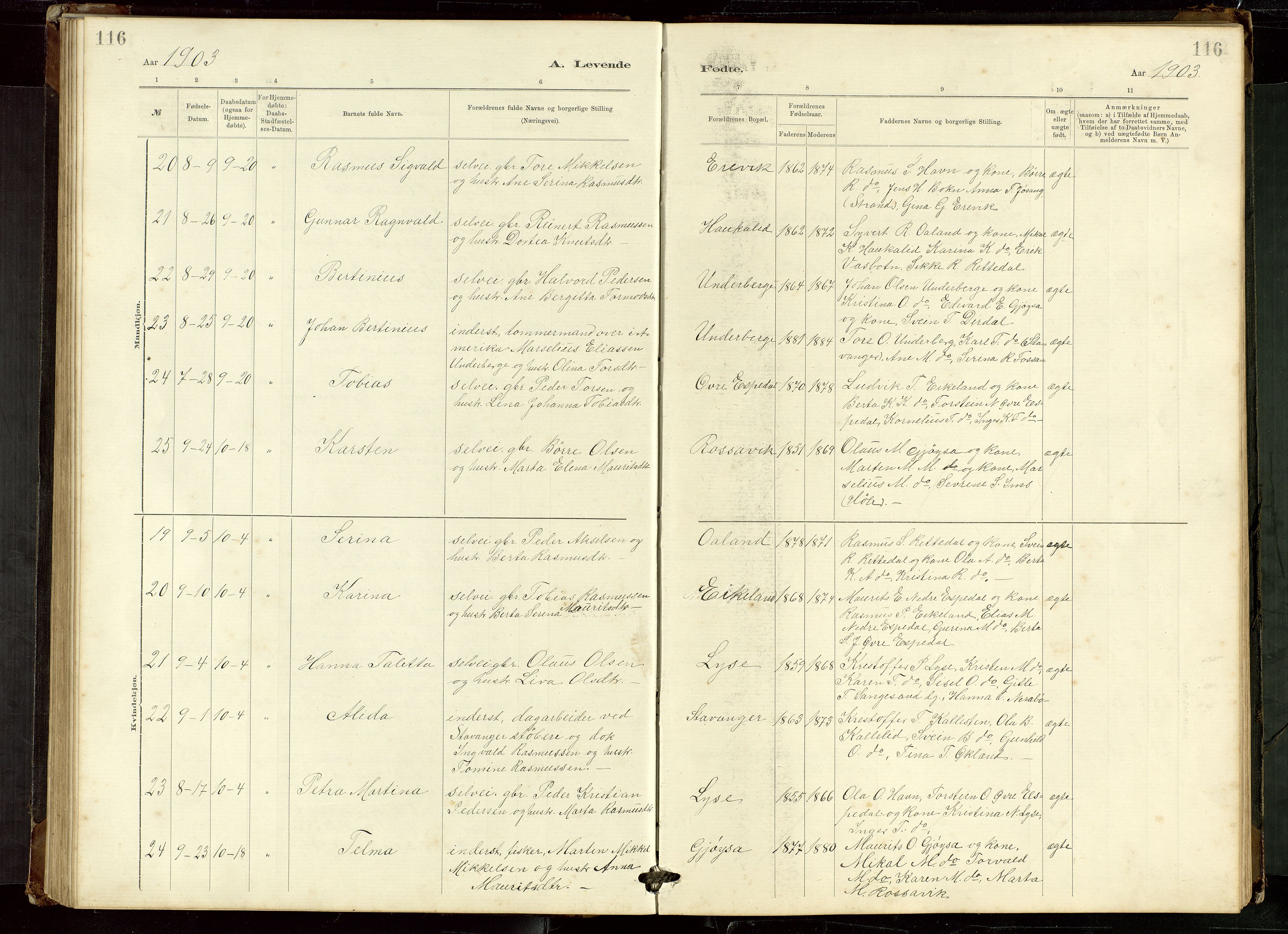 Høgsfjord sokneprestkontor, AV/SAST-A-101624/H/Ha/Hab/L0009: Parish register (copy) no. B 9, 1883-1920, p. 116