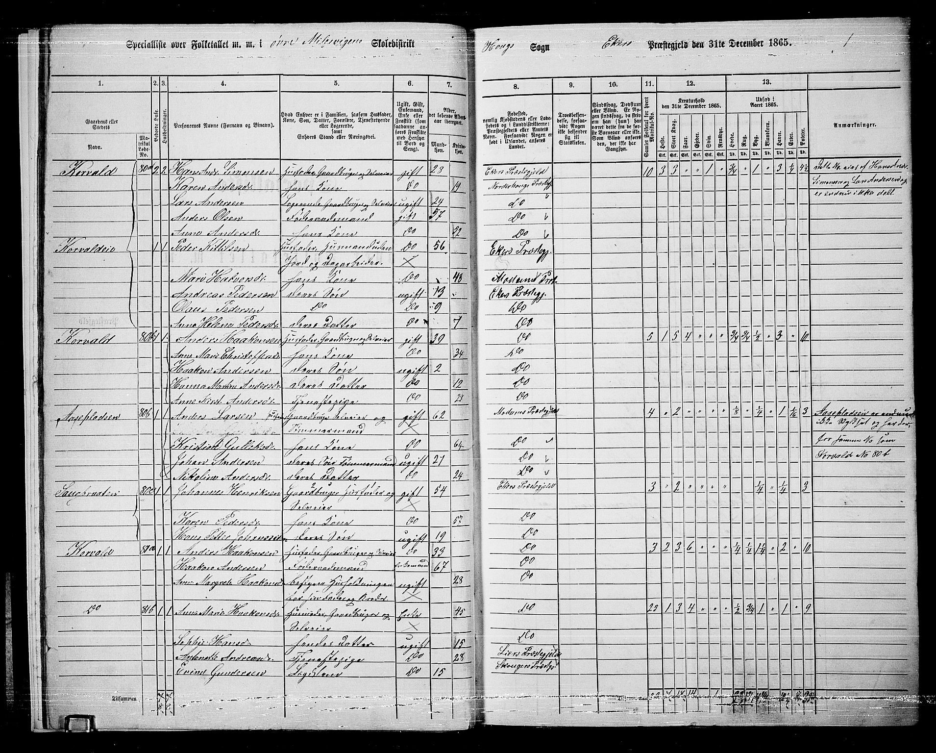 RA, 1865 census for Eiker, 1865, p. 14