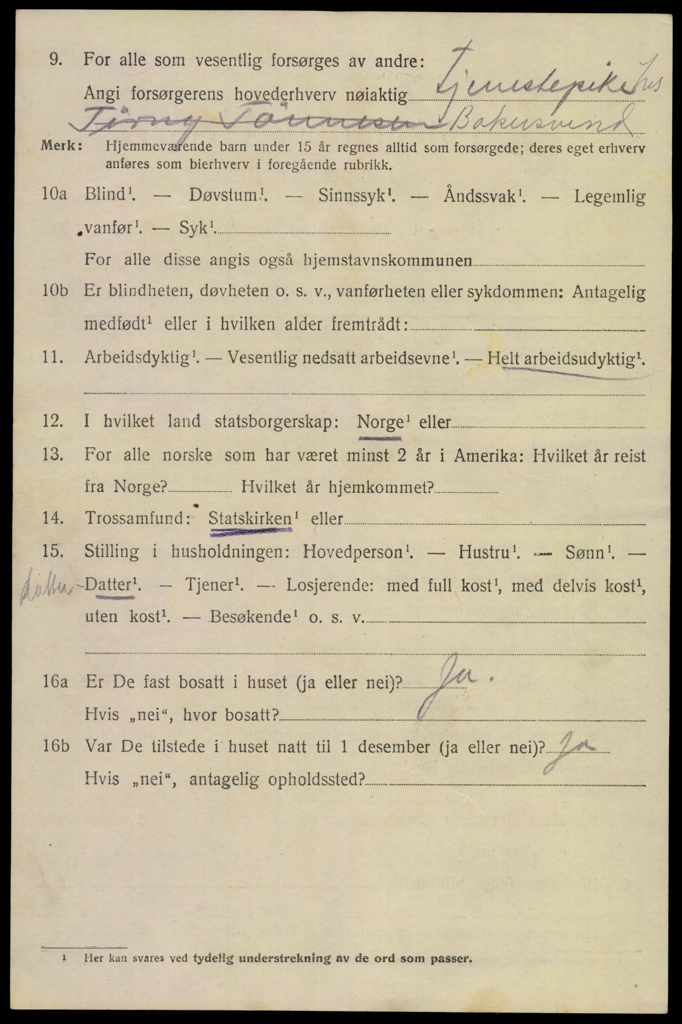 SAKO, 1920 census for Tinn, 1920, p. 10041