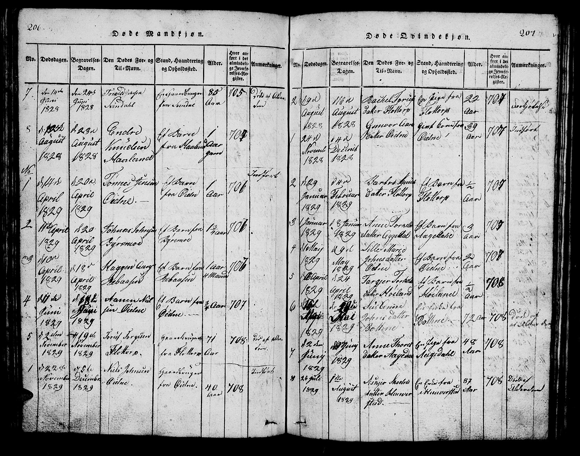 Bjelland sokneprestkontor, SAK/1111-0005/F/Fb/Fbc/L0001: Parish register (copy) no. B 1, 1815-1870, p. 206-207