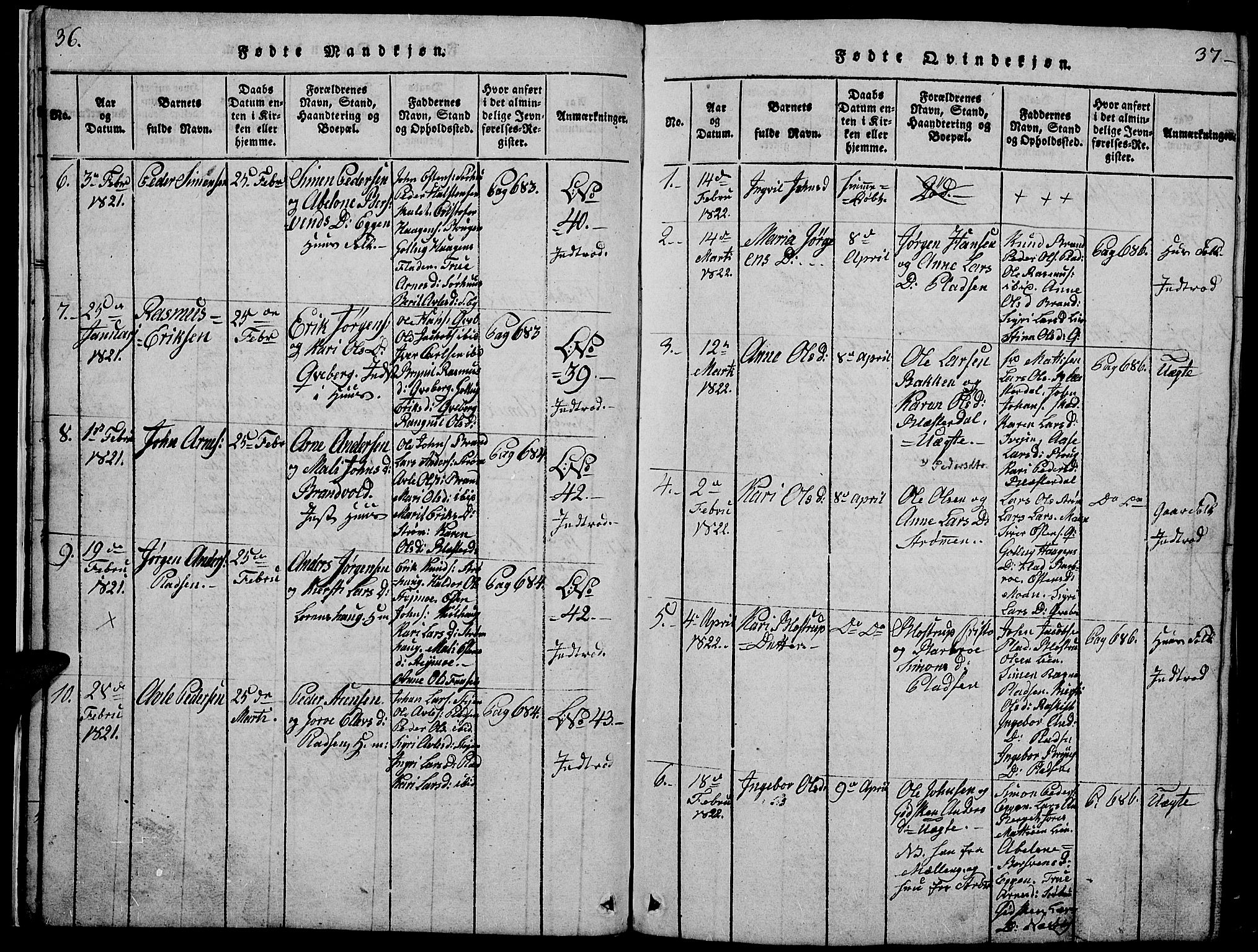 Tynset prestekontor, AV/SAH-PREST-058/H/Ha/Hab/L0002: Parish register (copy) no. 2, 1814-1862, p. 36-37